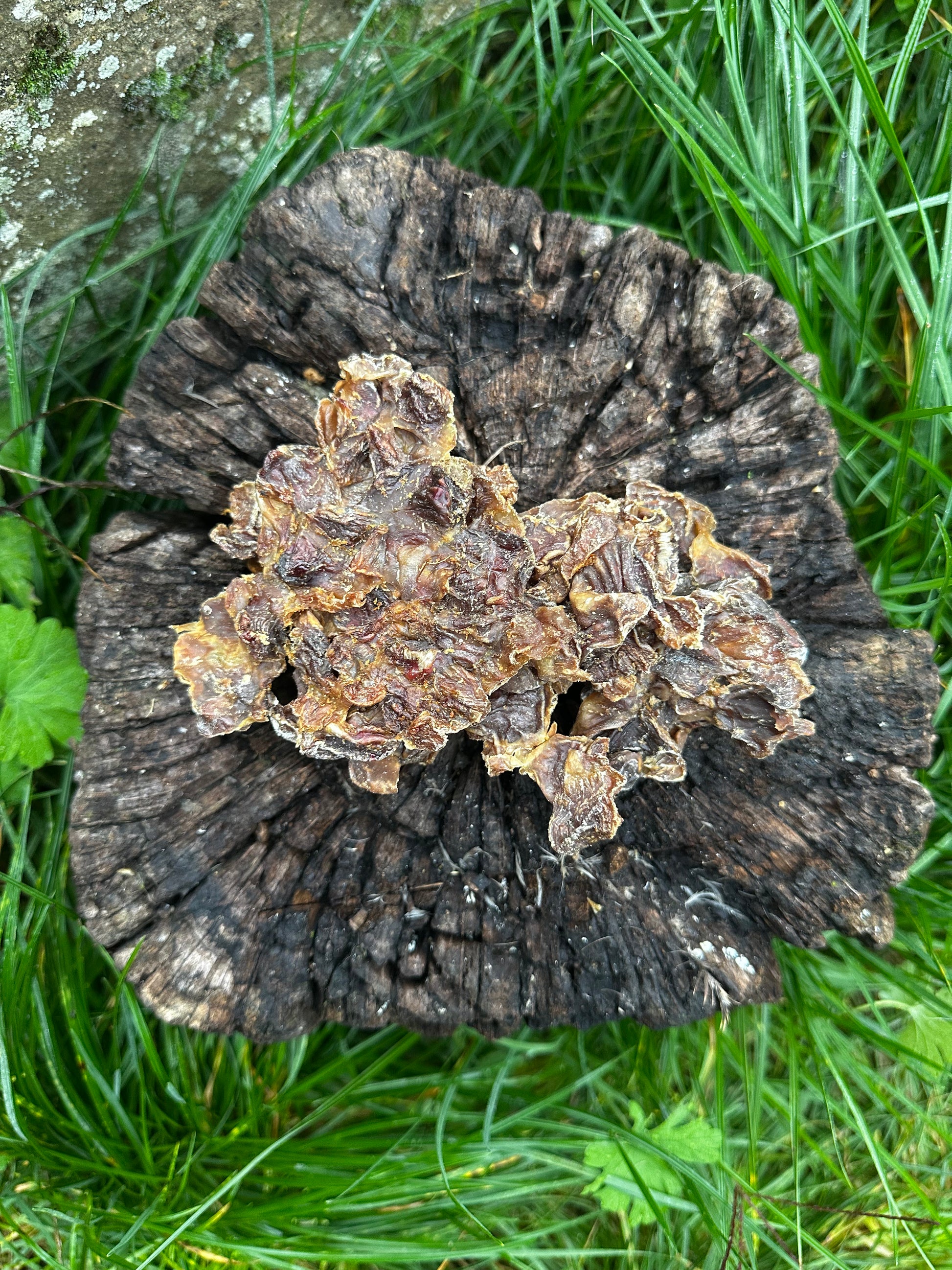 Gésiers de poulet - 100g
