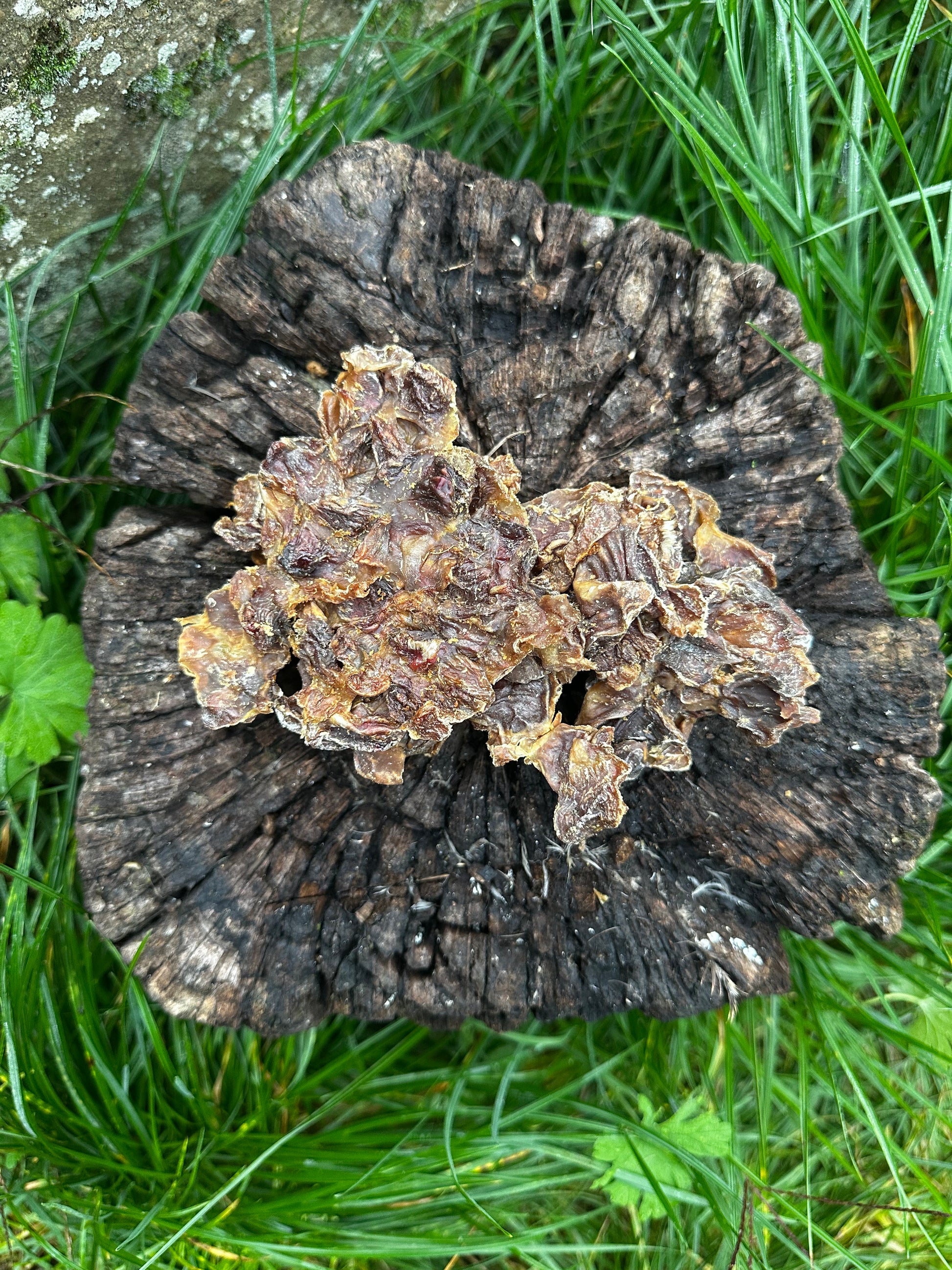 Gésiers de poulet - 100g