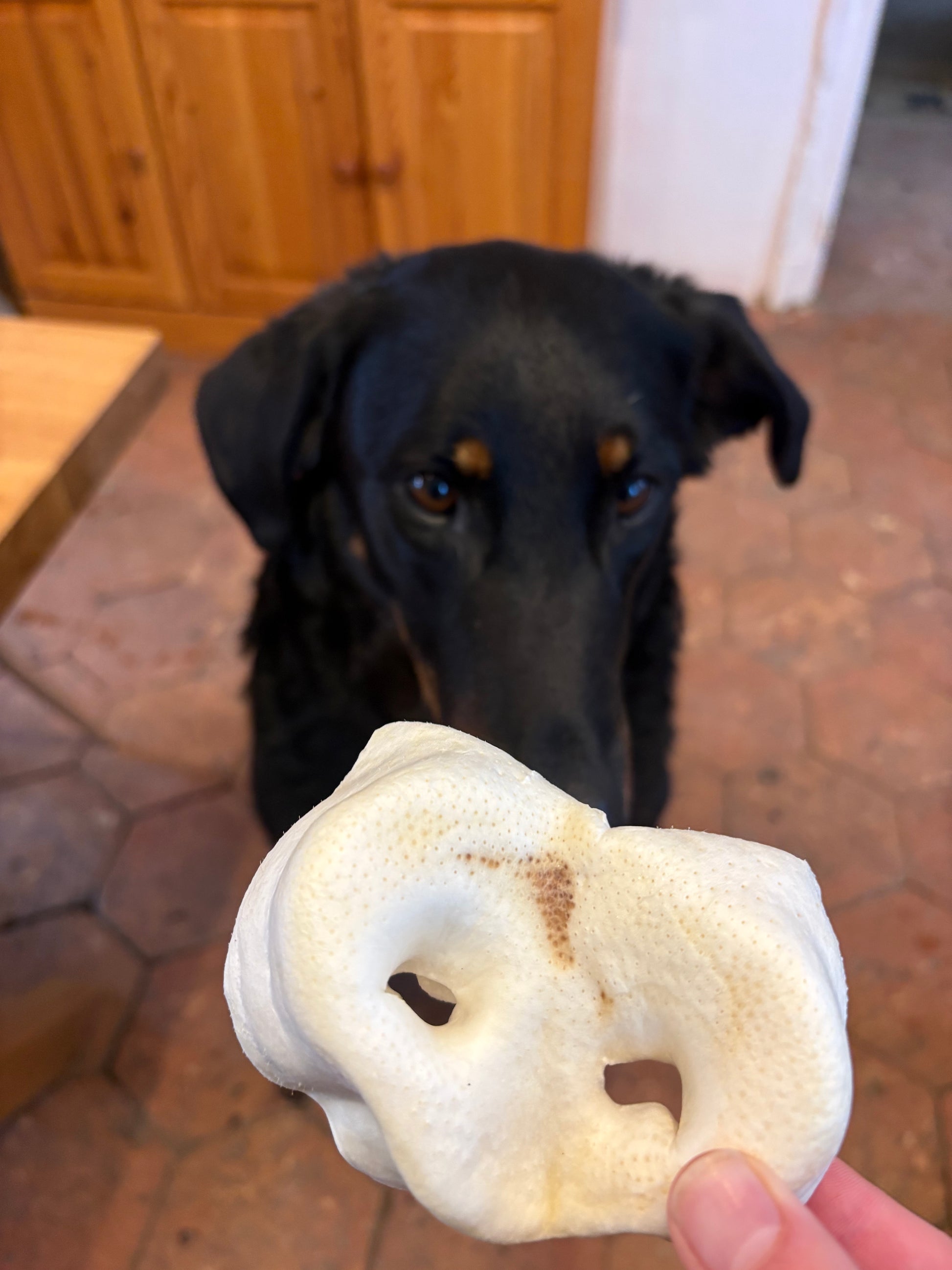 Groin de porc soufflé blanc