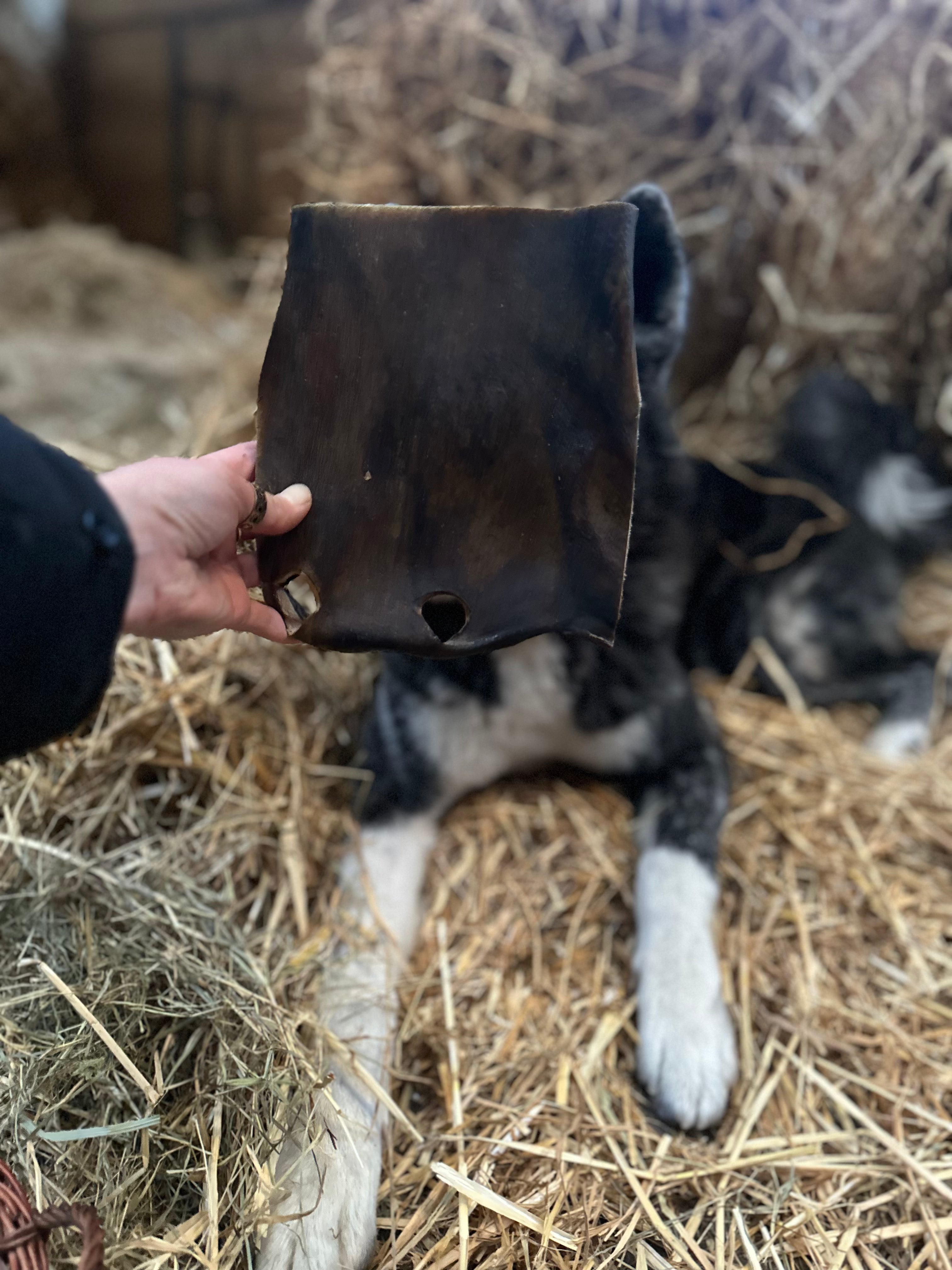 Plaque de peau de chameau 20x20cm