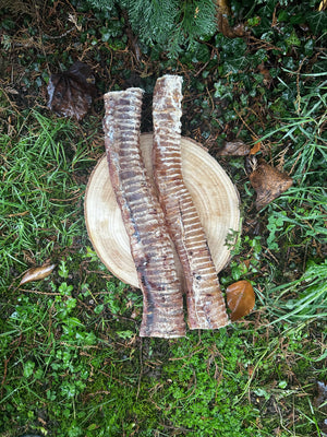 Trachée de bœuf XL 30cm