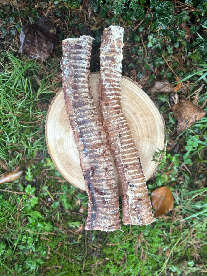 Trachée de bœuf 30cm