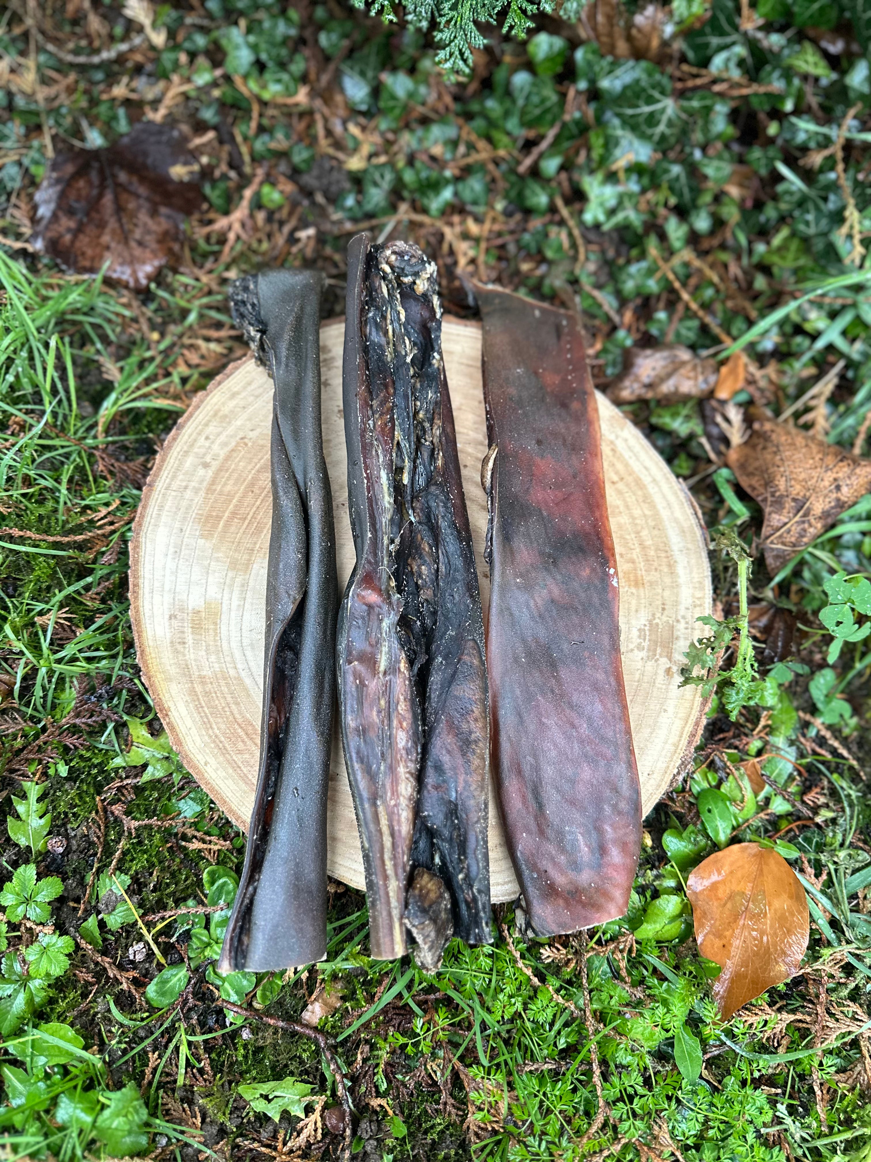Peau de boeuf 30CM
