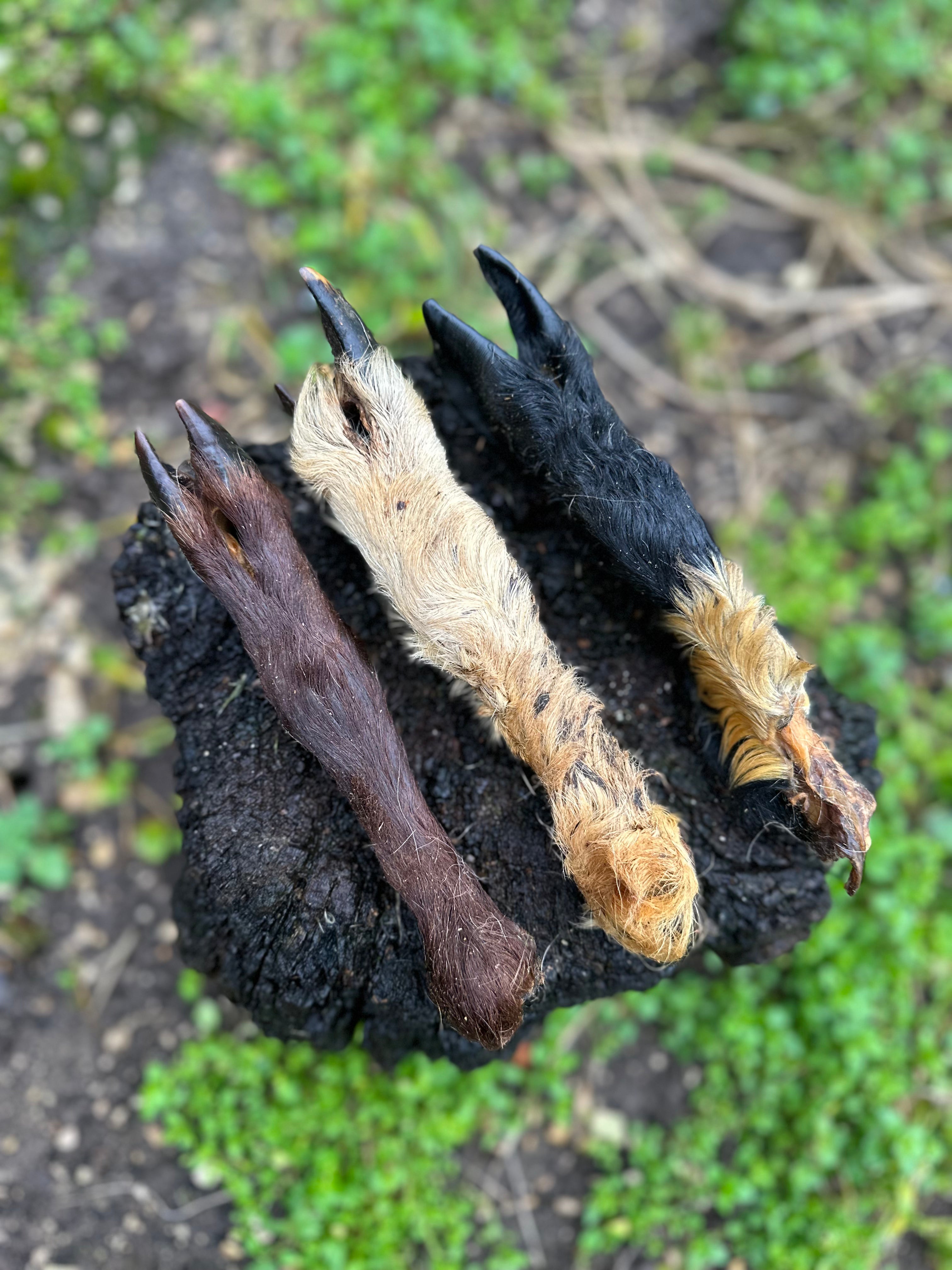 Pied d'agneau avec poils