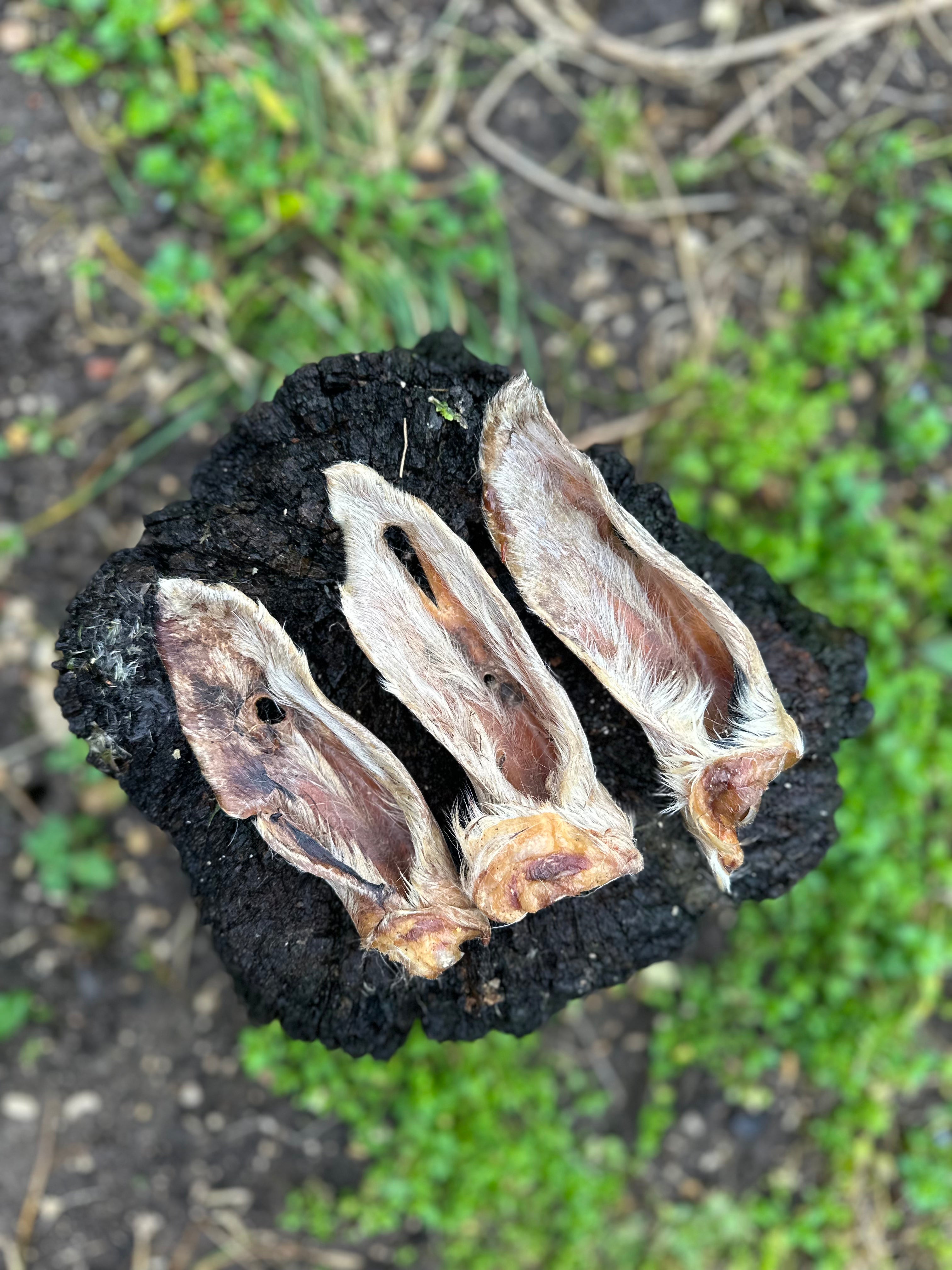 Oreille d'agneau avec poils