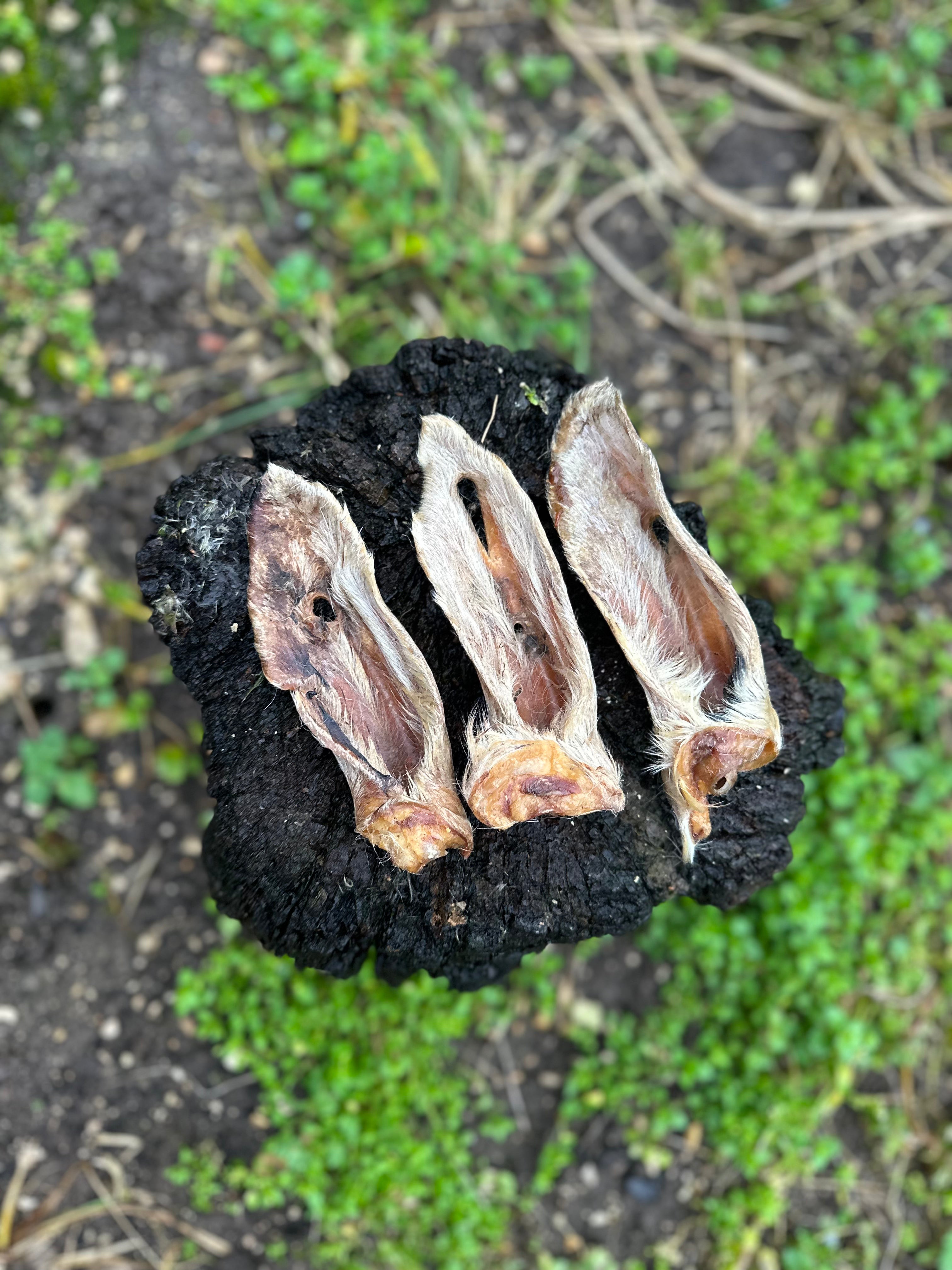 Oreille d'agneau avec poils