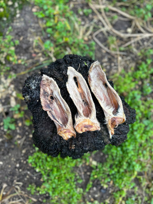 Oreille d'agneau avec poils