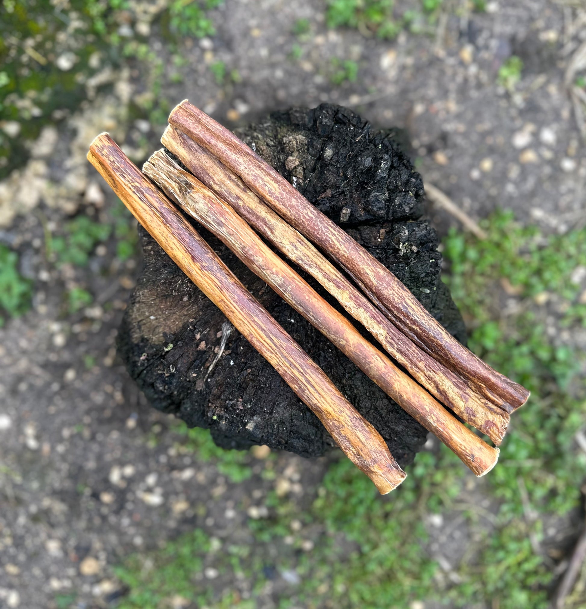 Oesophage de boeuf ronde 30CM