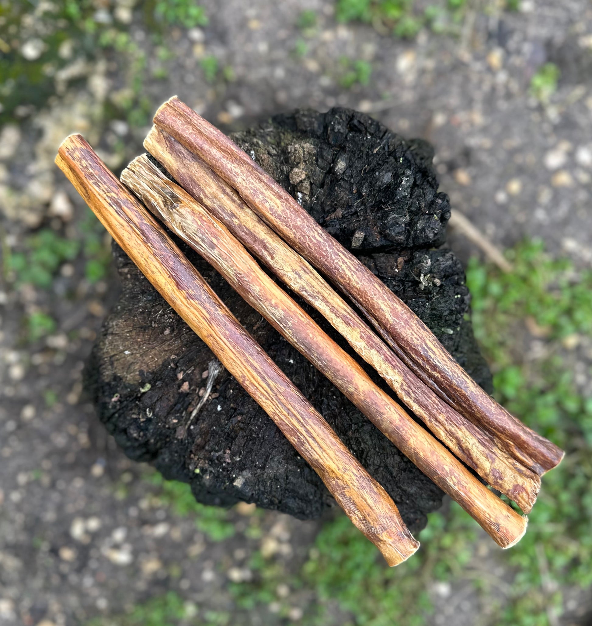 Oesophage de boeuf ronde 30CM