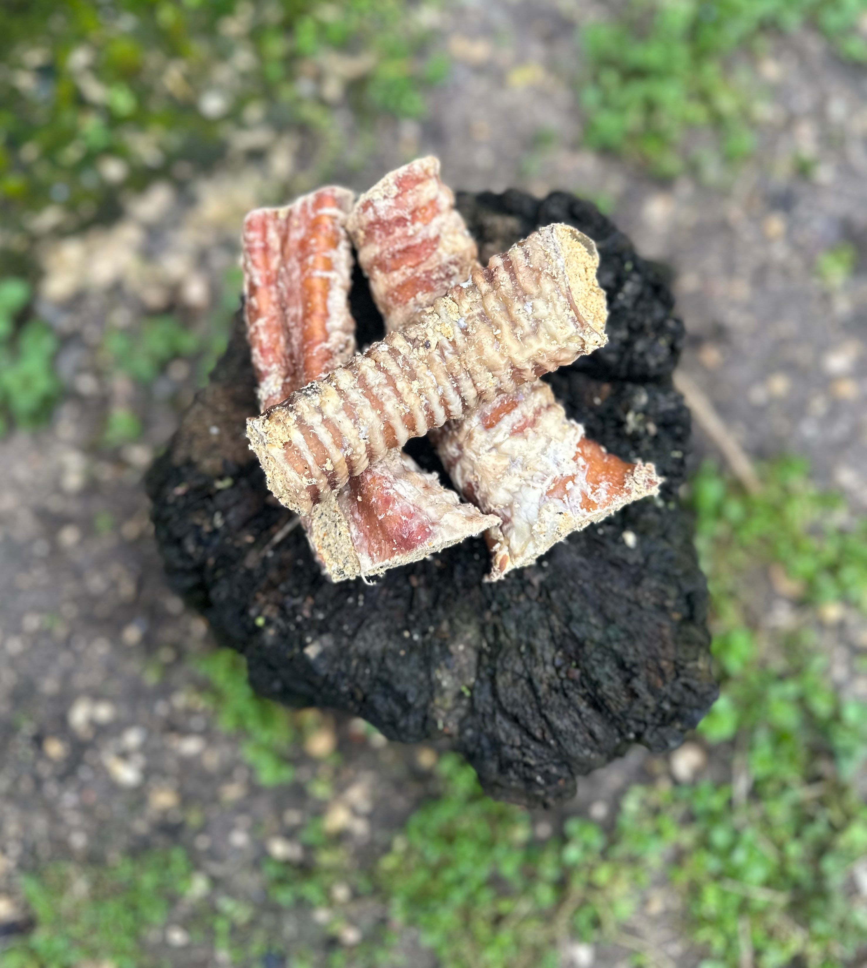 Trachée de boeuf farcie 15CM