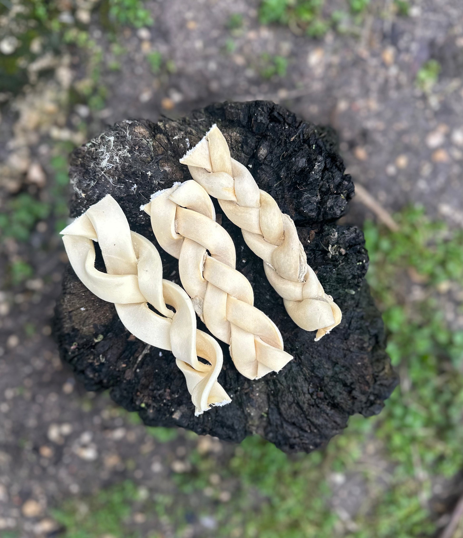 Tresse de peau de buffle - M