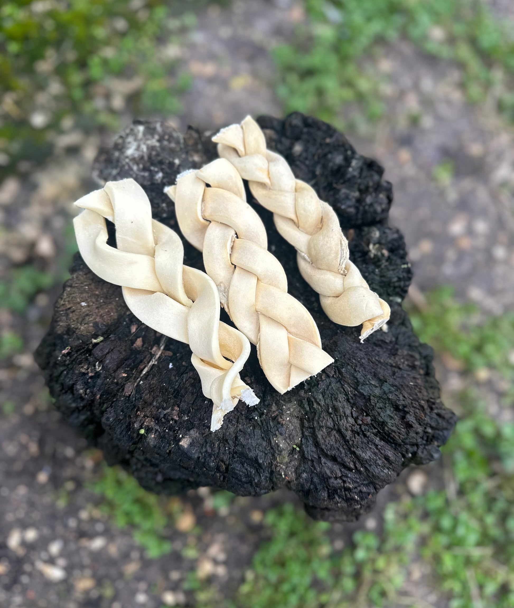 Tresse de peau de buffle - M