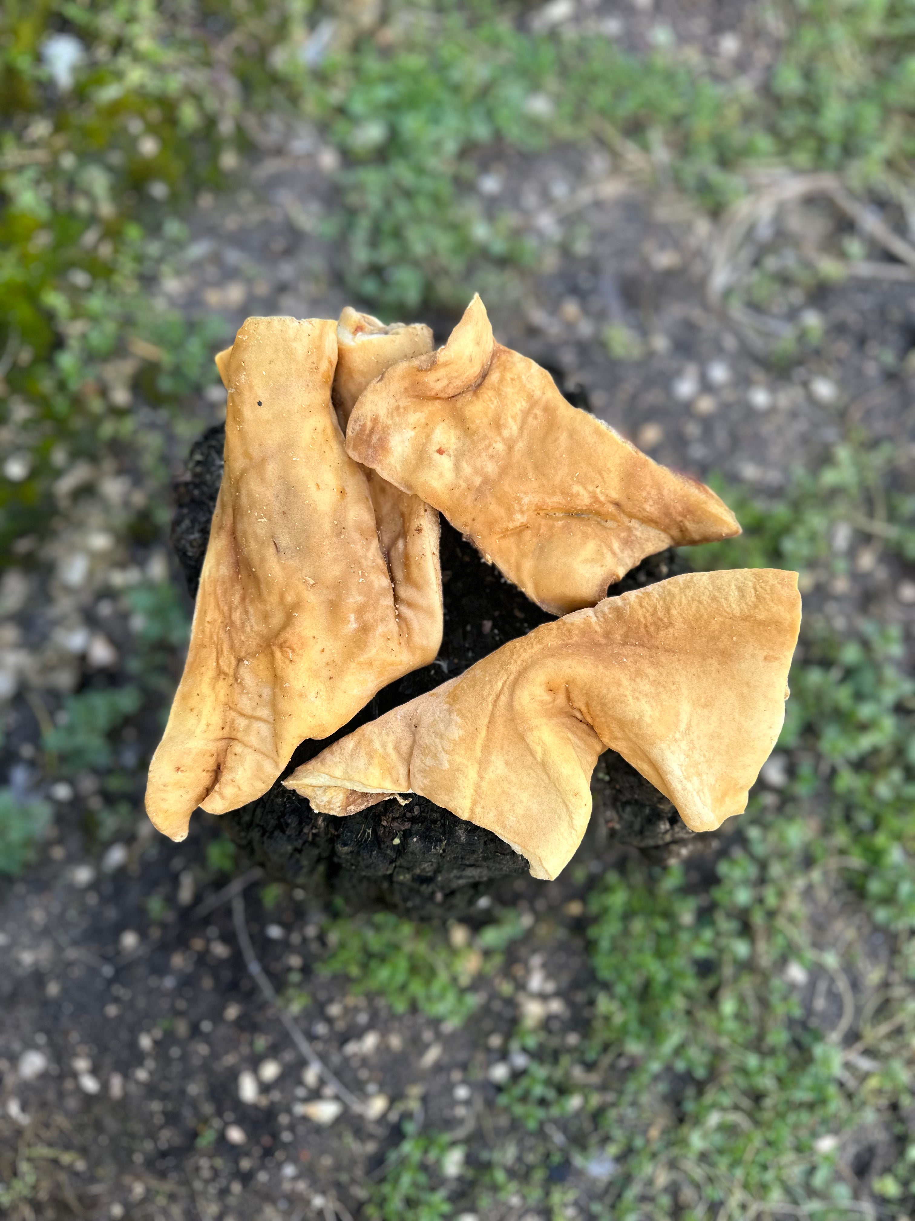 Plaque de peau de boeuf - S