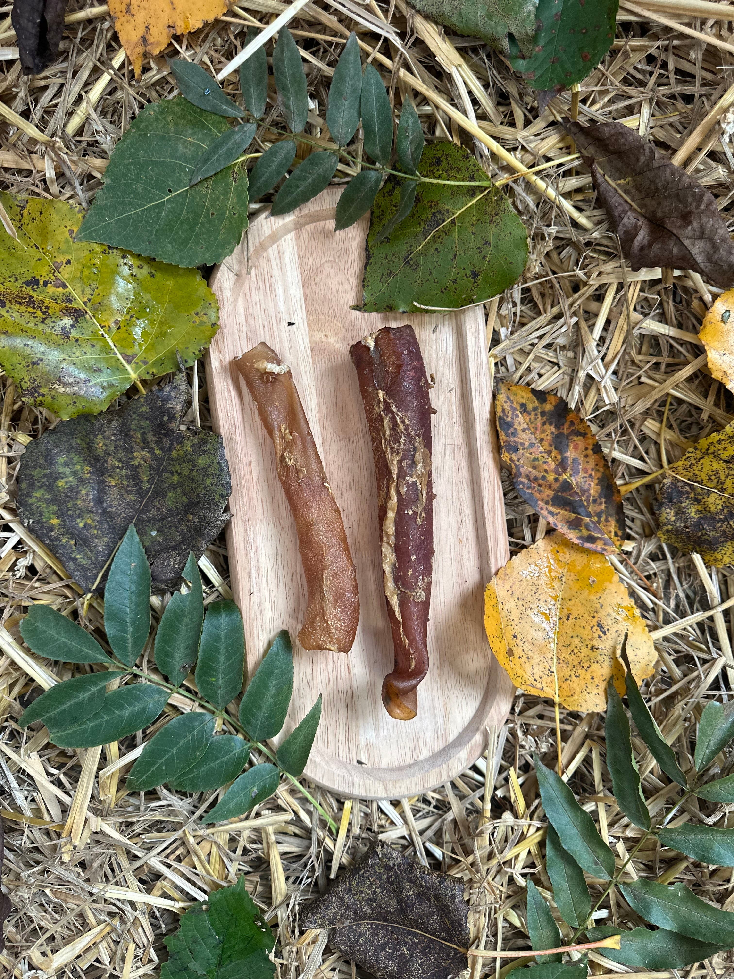 Aorte de boeuf
