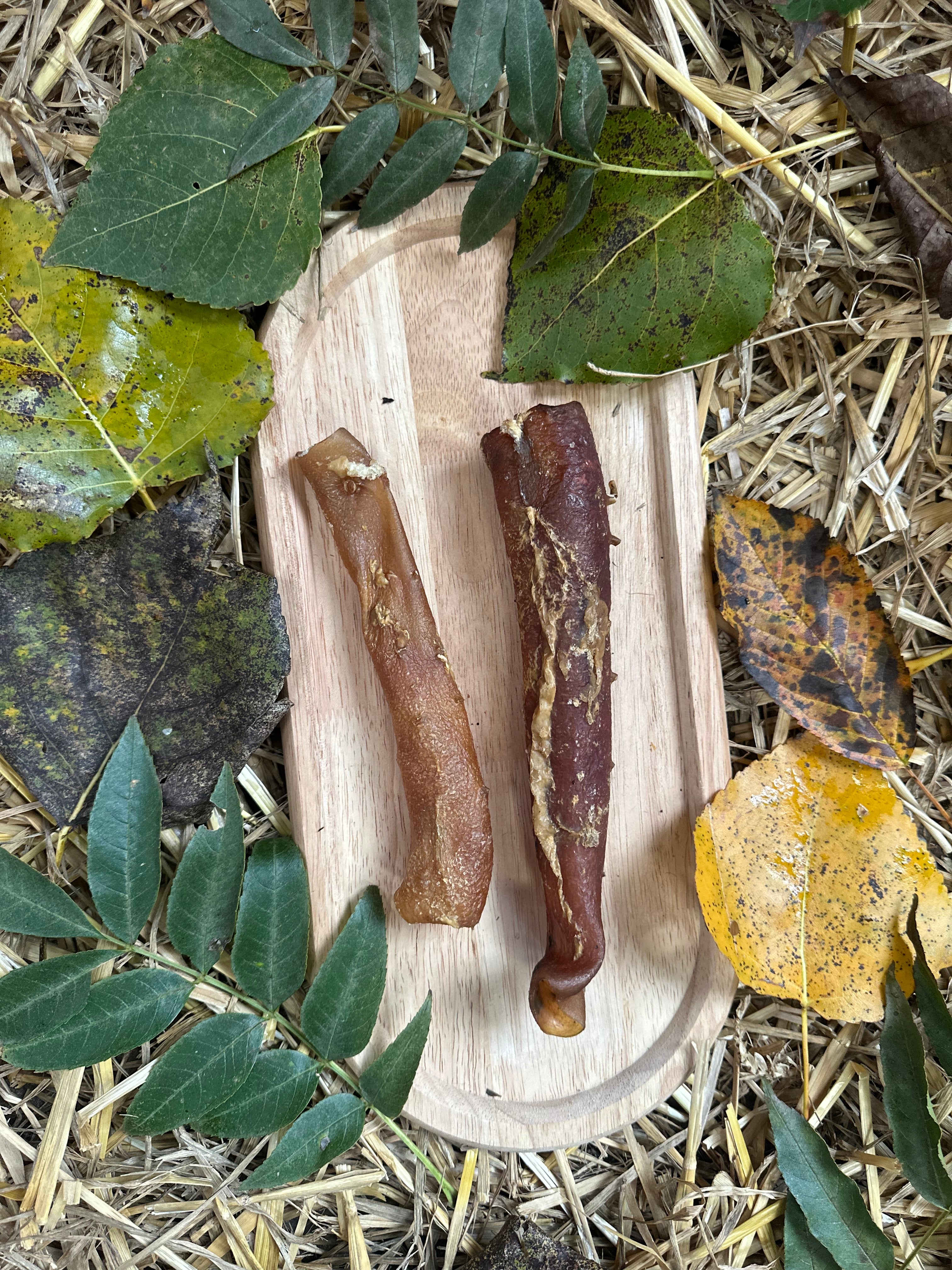 Aorte de boeuf