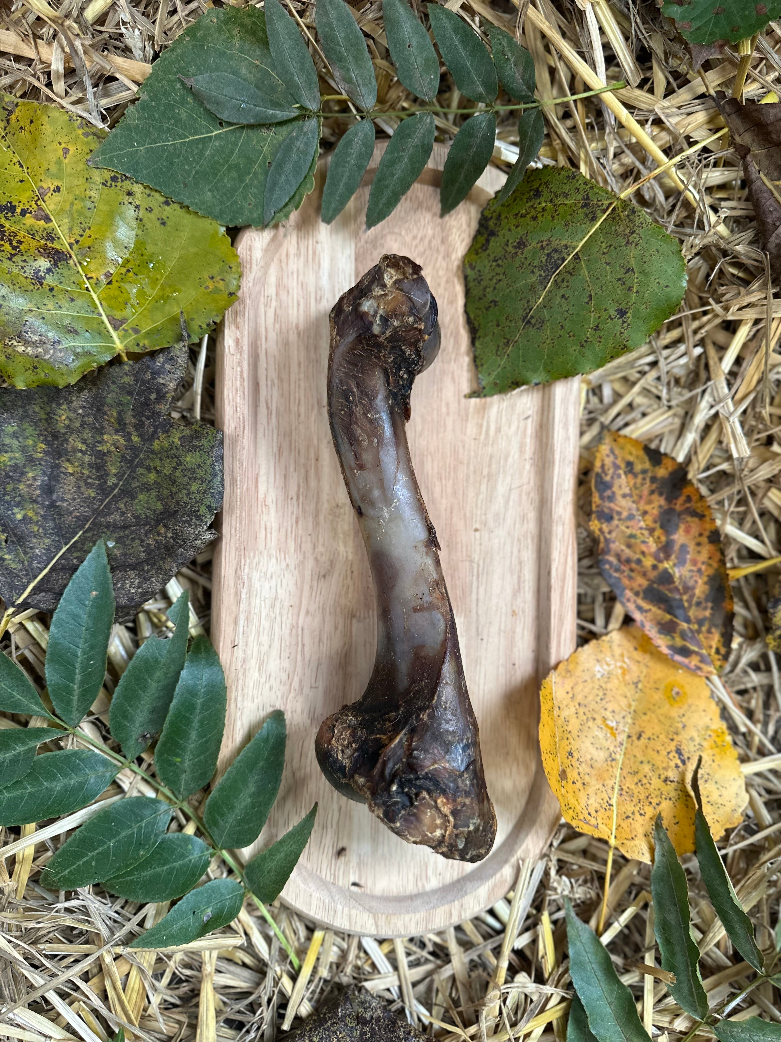 Os de cerf - S
