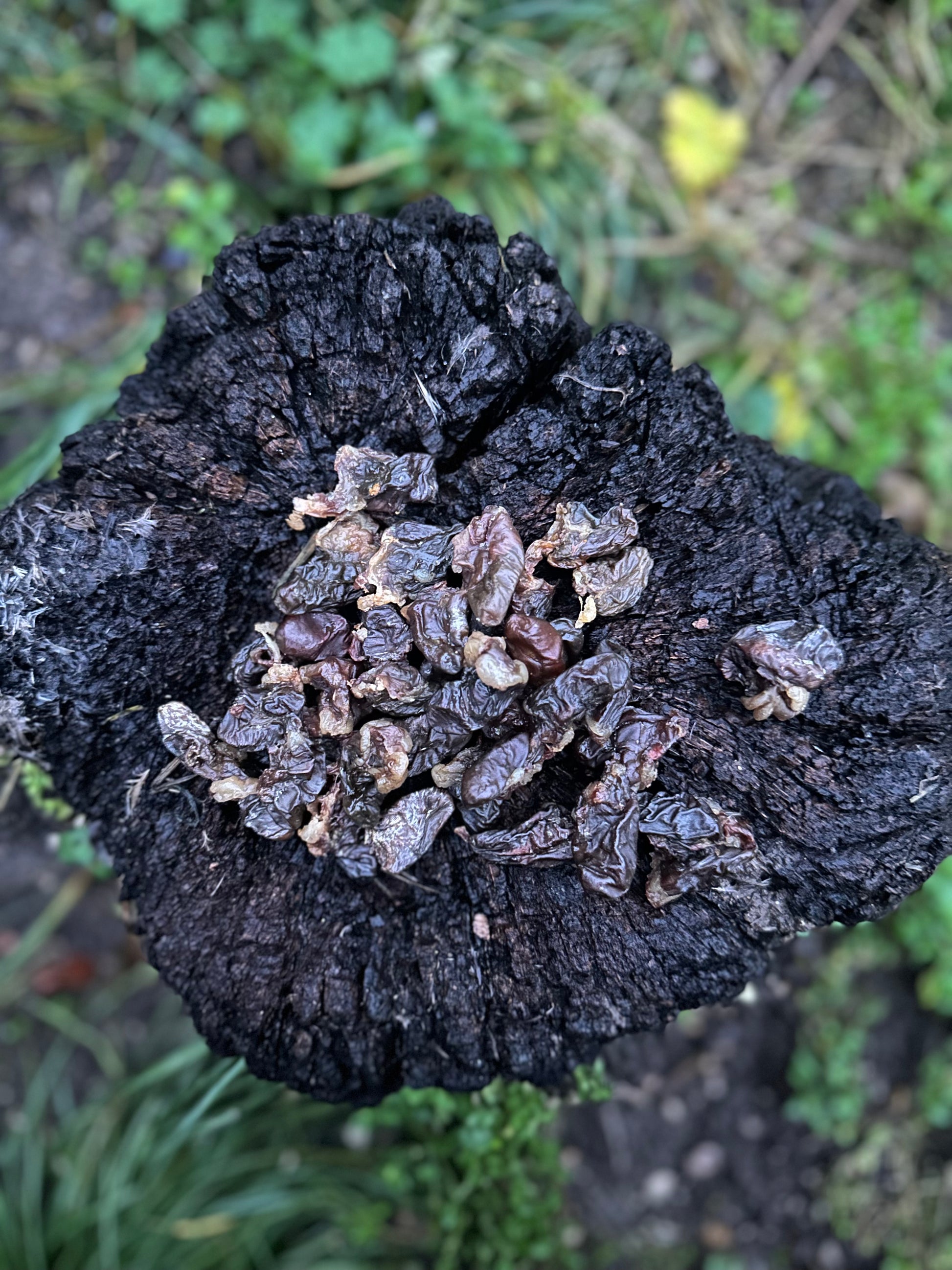 Coeur de poulet - 100g