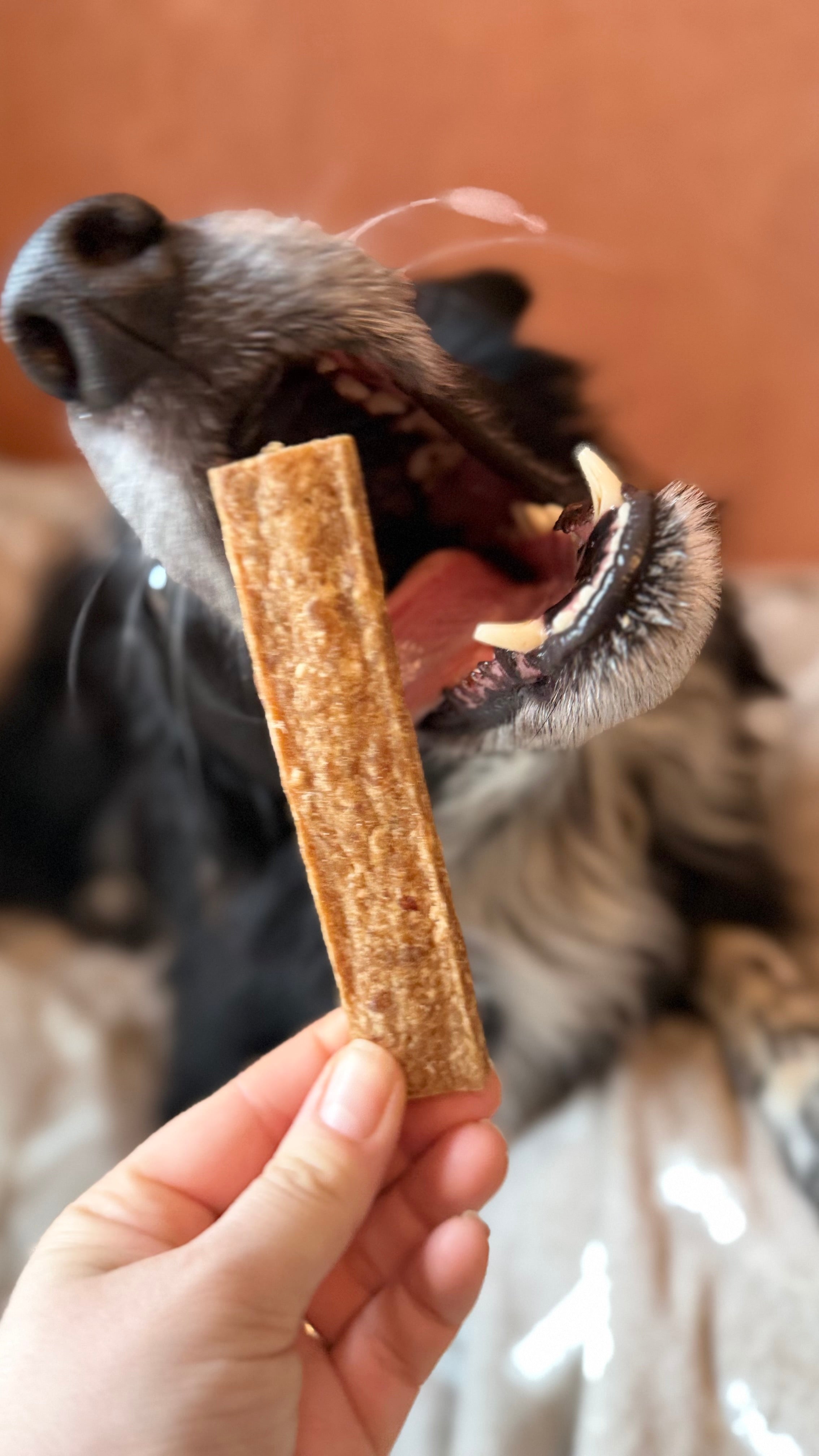 Jerky de dinde