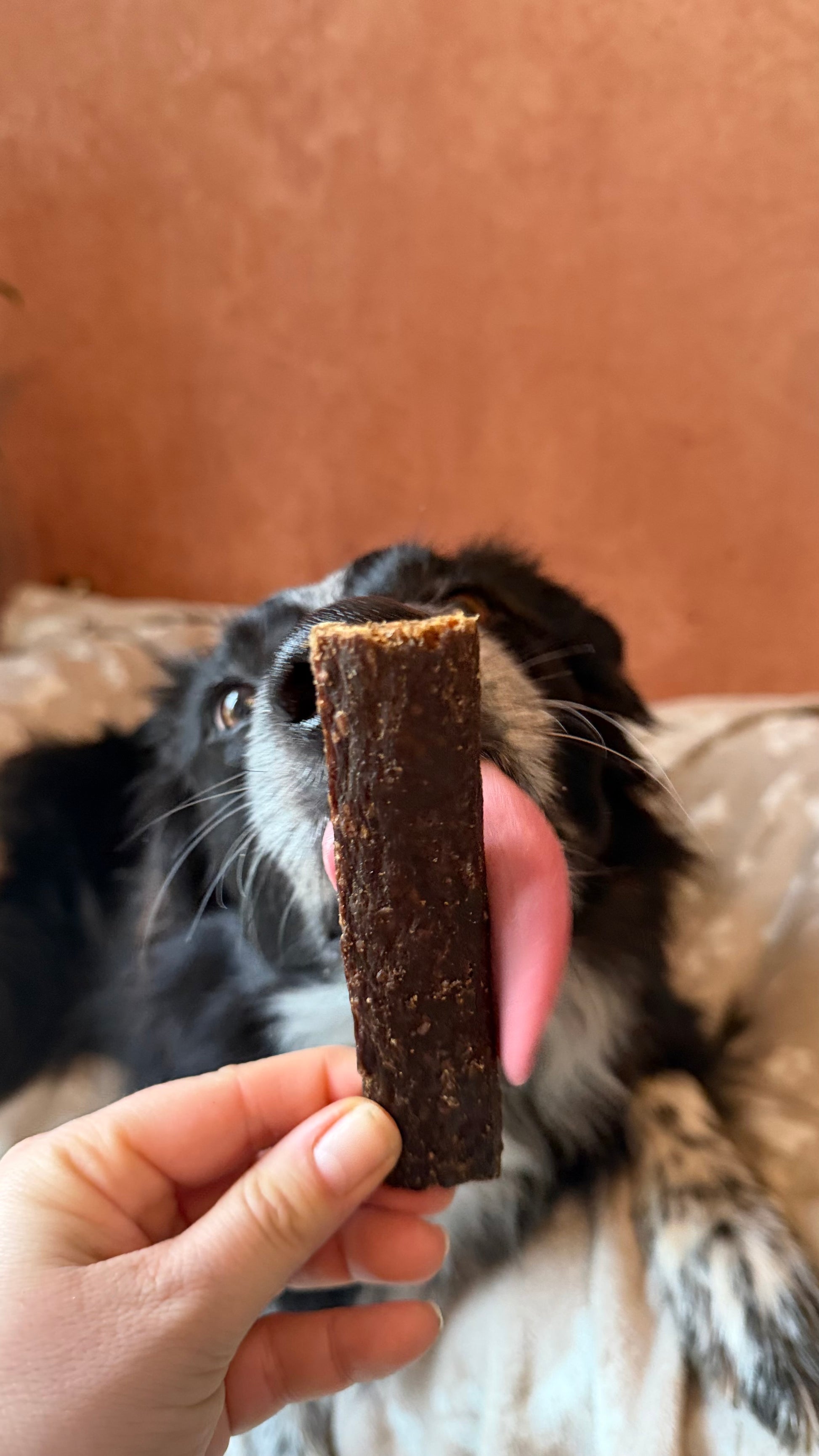 Jerky de faisan