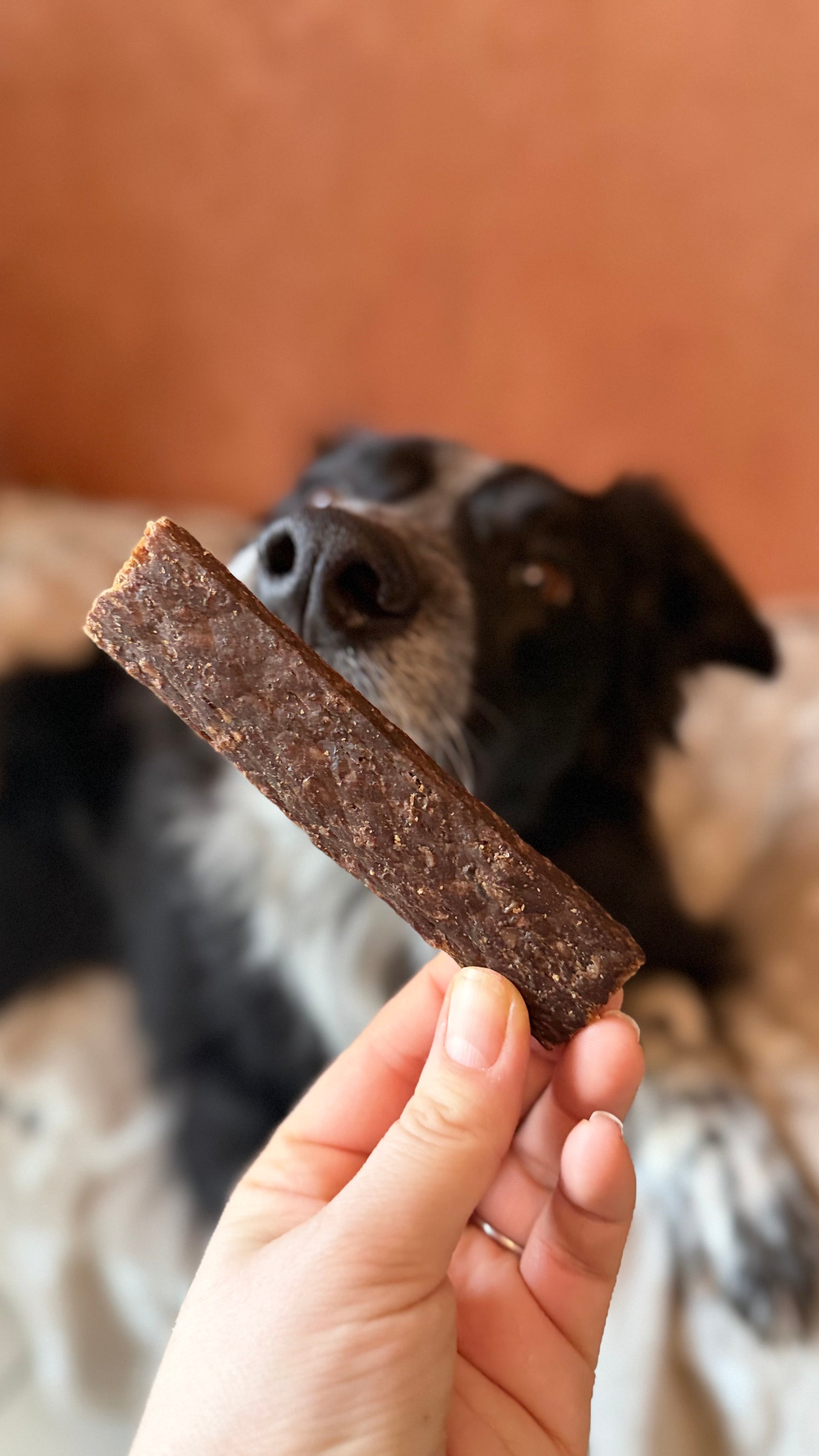 Jerky de faisan
