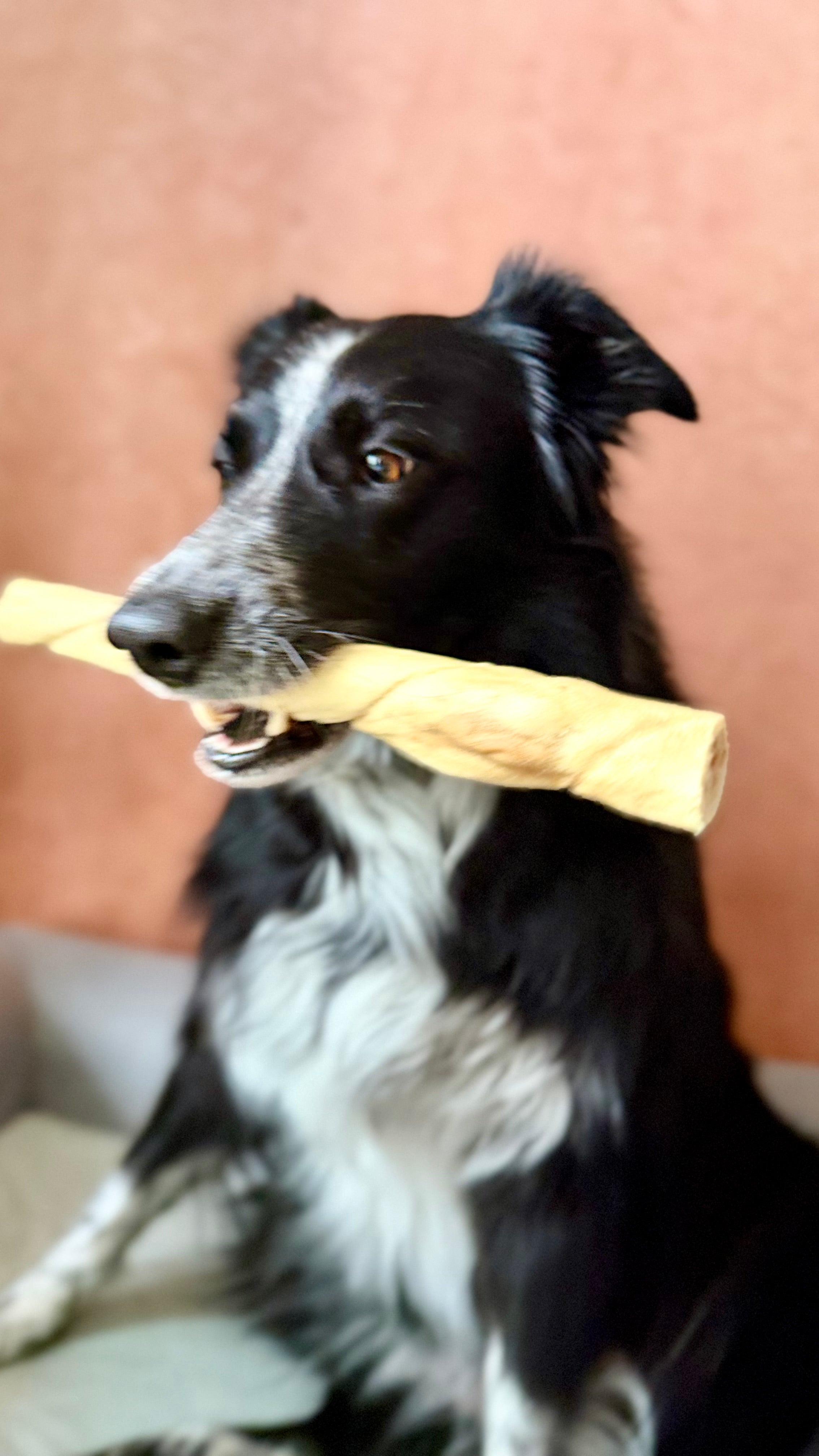 Joue d'agneau roulée 30CM