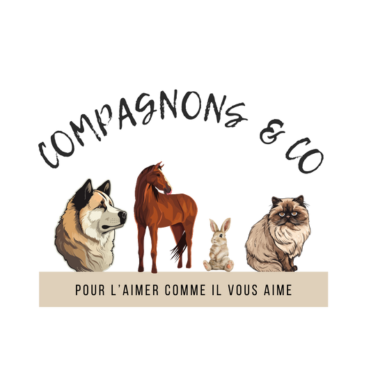 Carte-cadeau Compagnons & Co