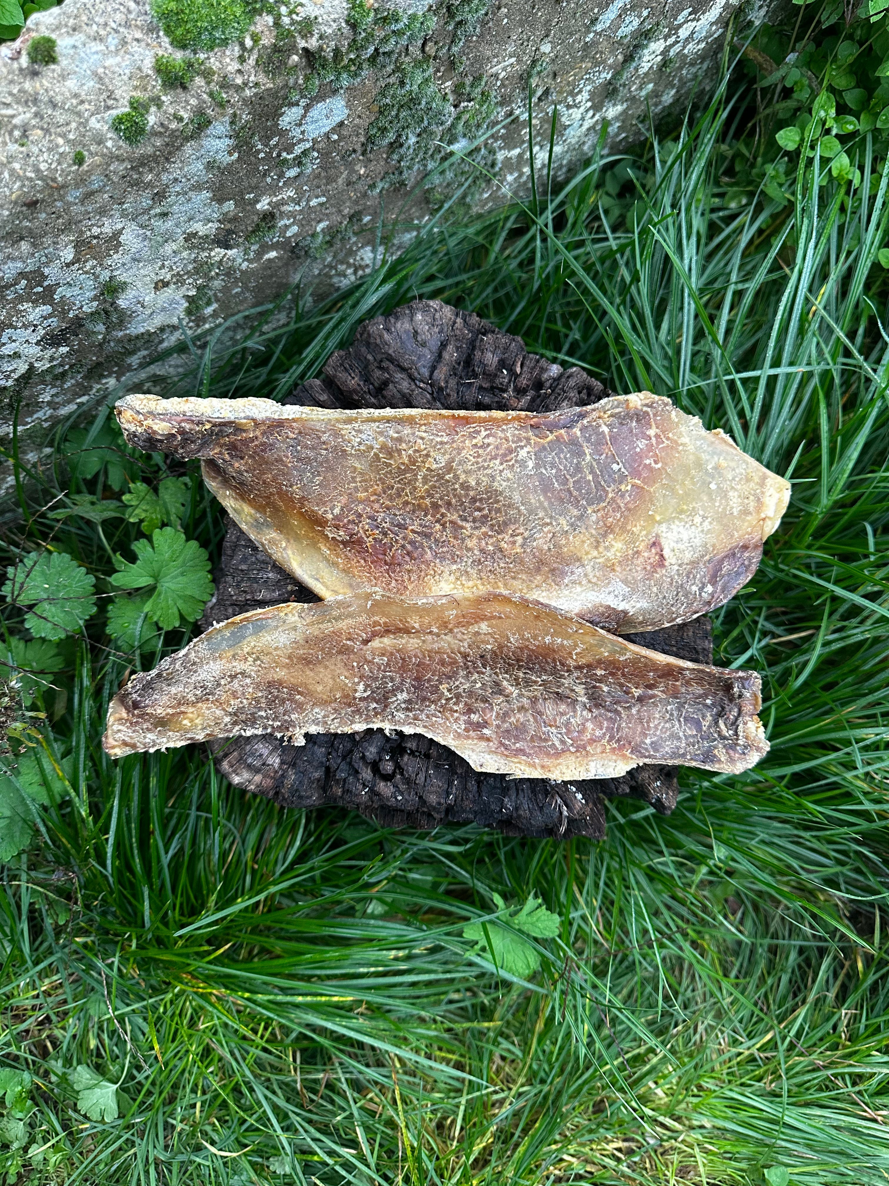 Maxi omoplate de bœuf