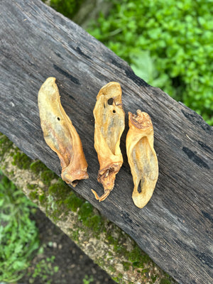 Oreille de chèvre