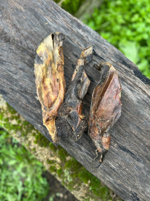 Oreille de chèvre avec poils