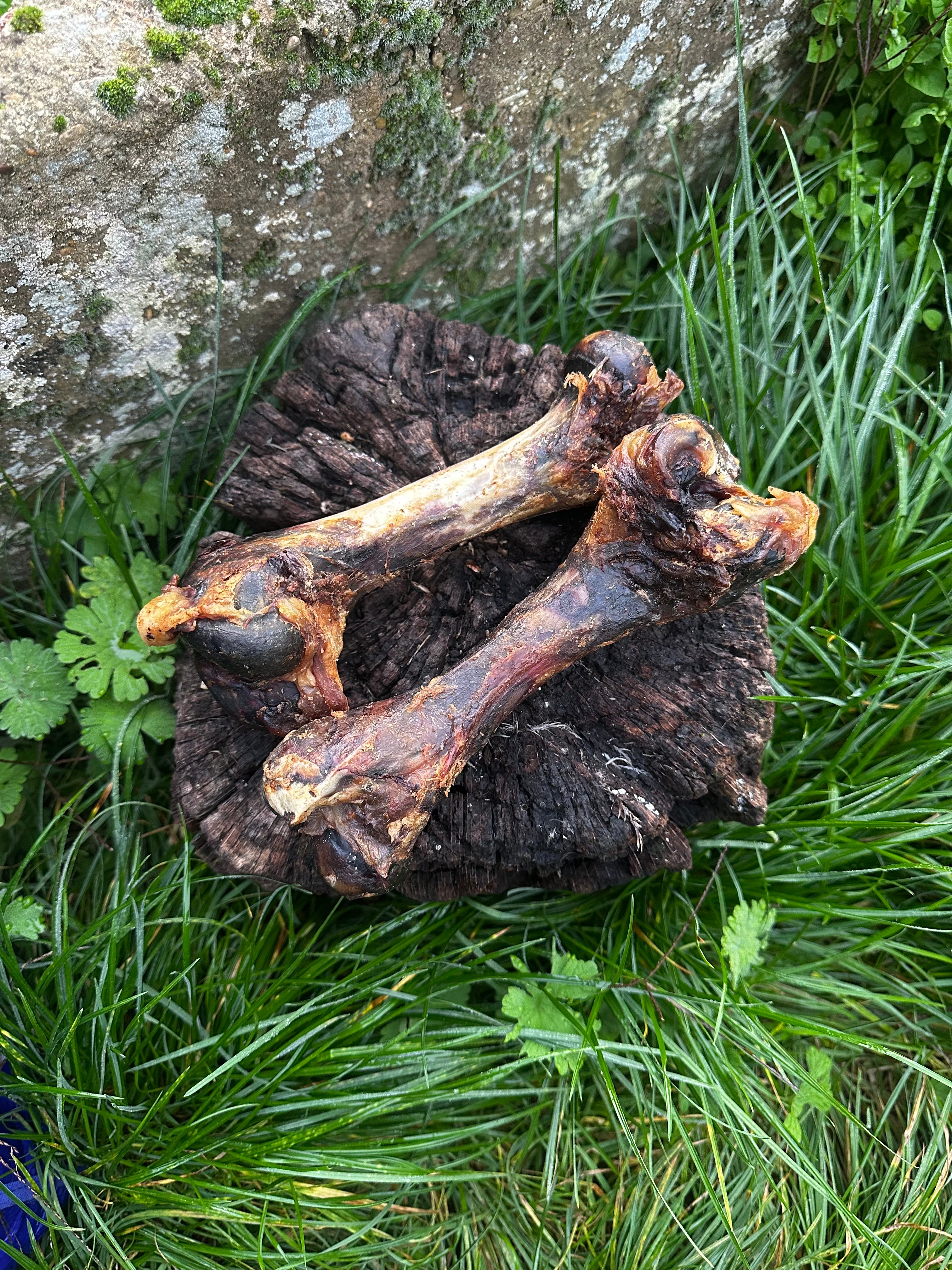 Os de jambon de porc