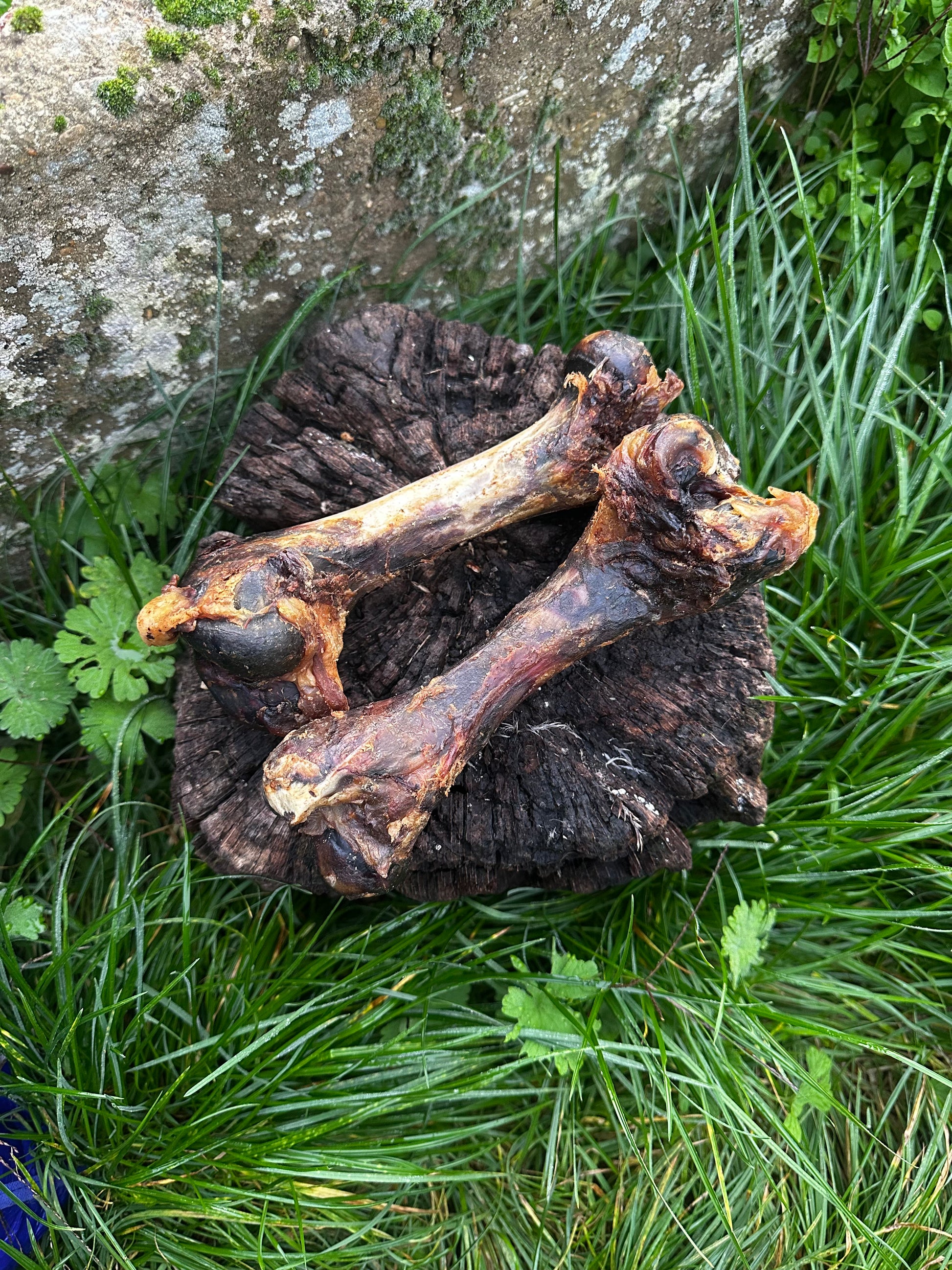 Os de jambon de porc