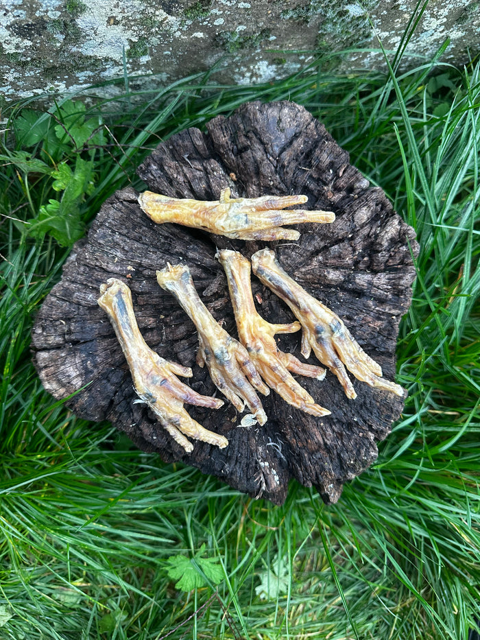 Patte de poulet