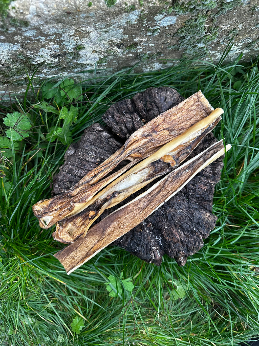 Peau de cerf 30CM