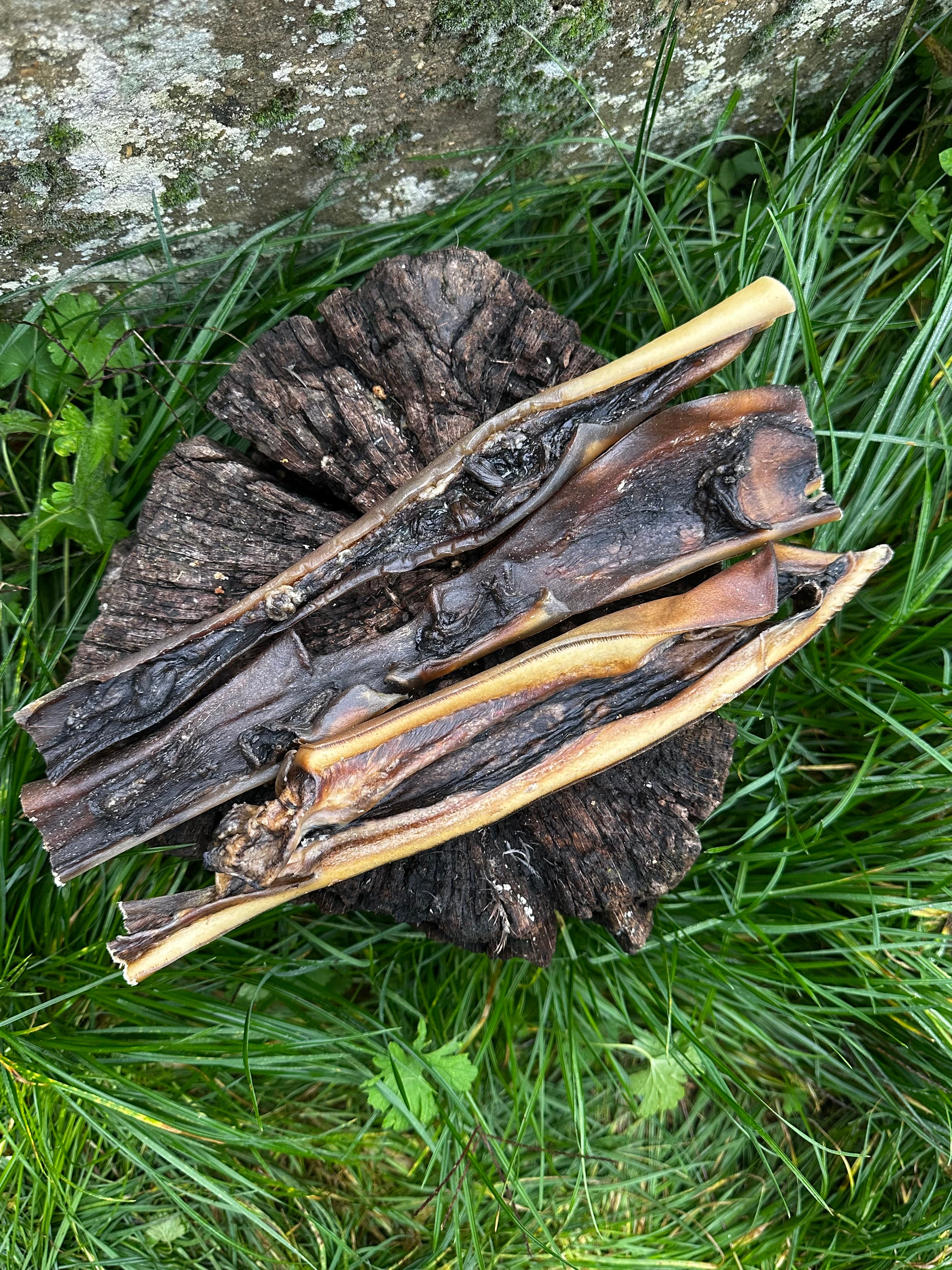 Peau de chameau 30CM