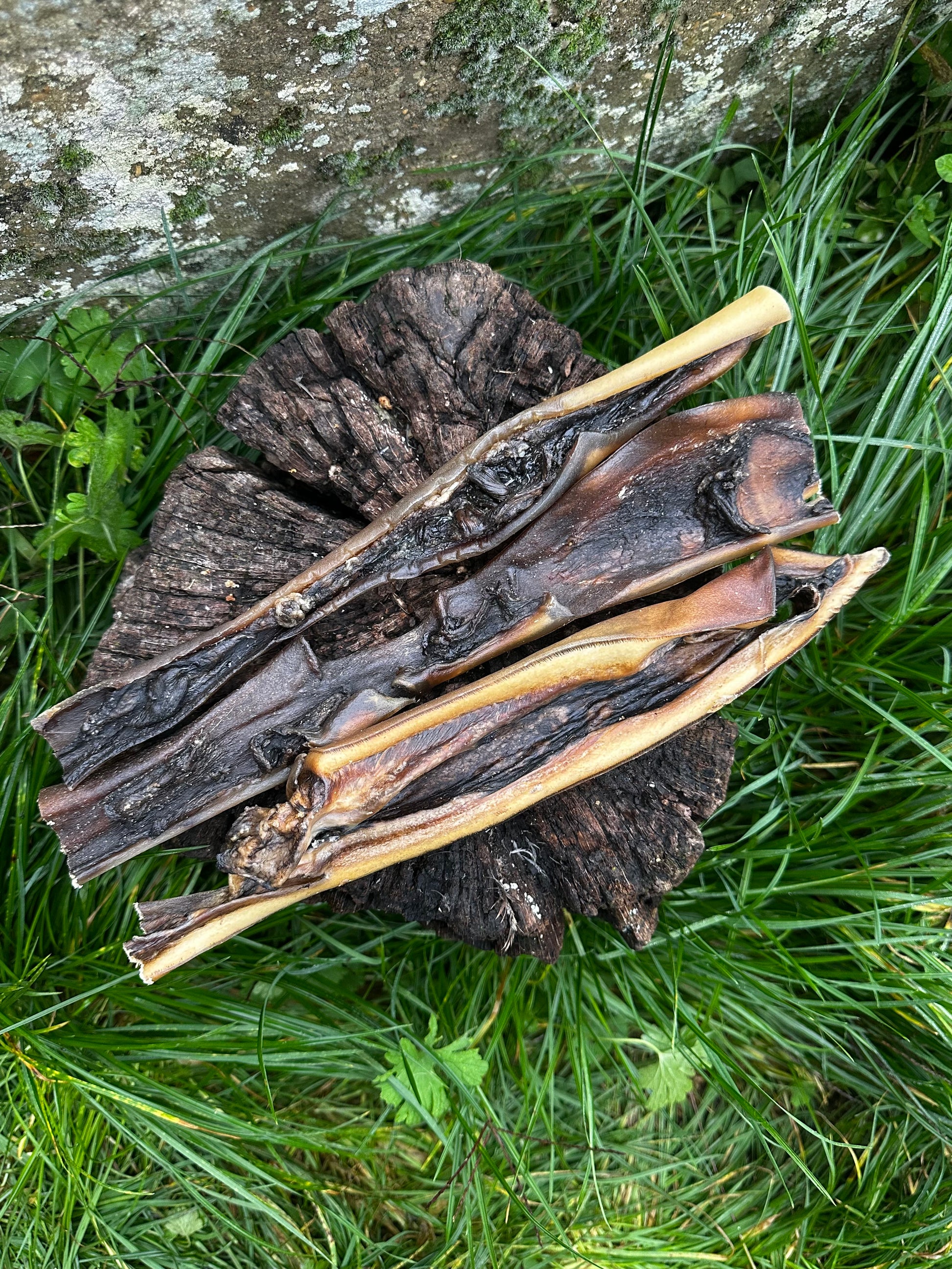 Peau de chameau 30CM