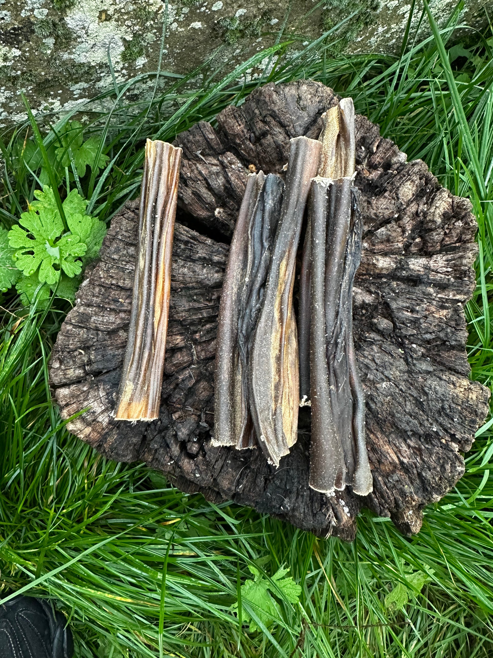 Peau de chevreuil - 100g