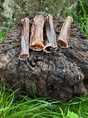 Pénis de boeuf 12CM