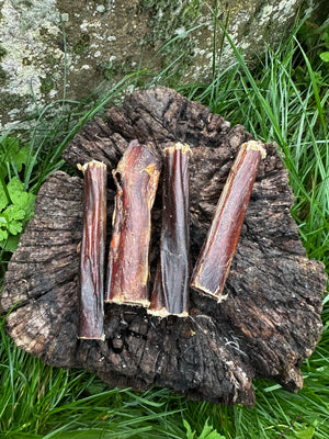 Pénis de boeuf 12CM