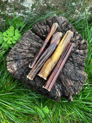 Pénis de boeuf 15CM