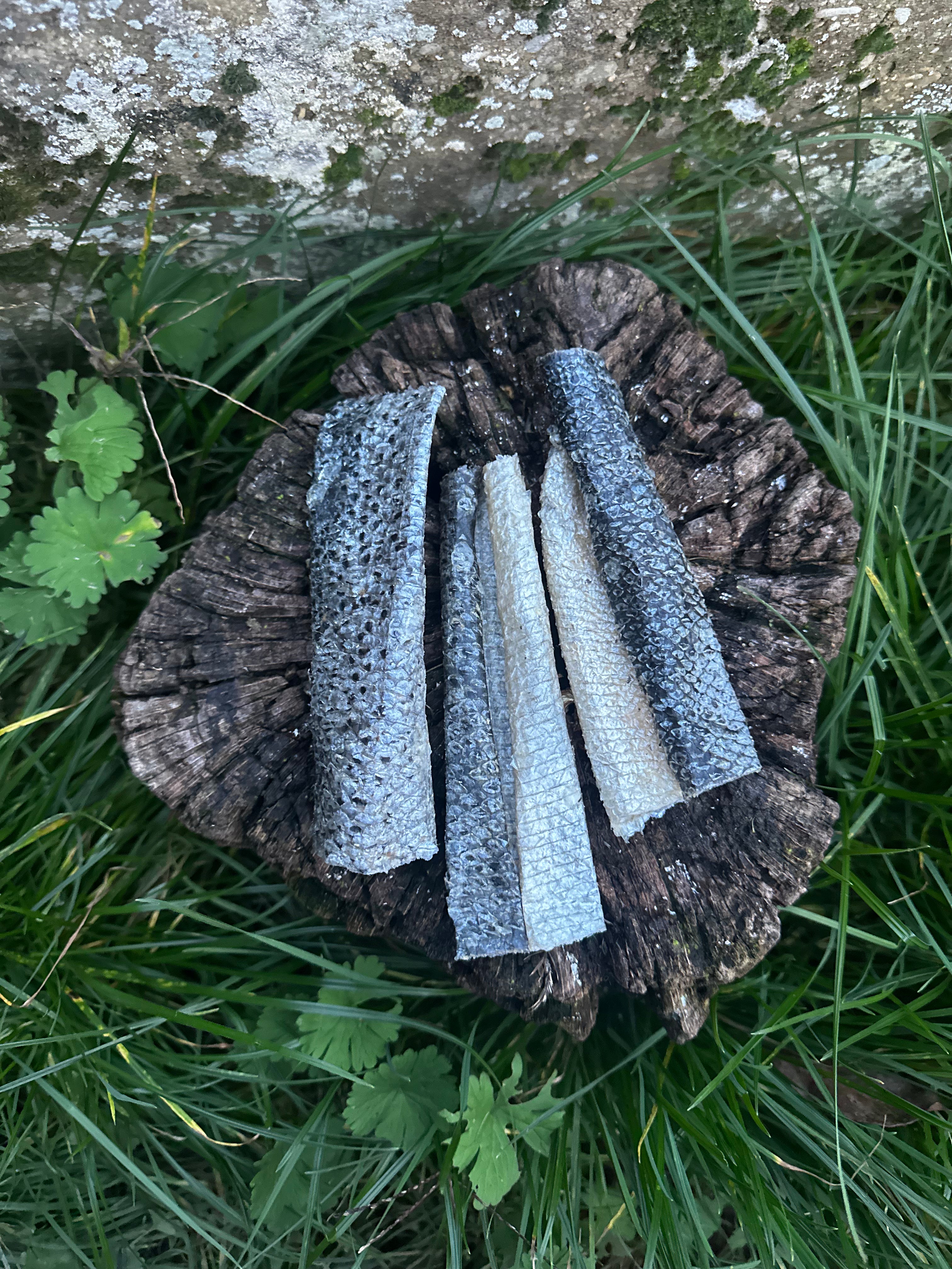 Petite lanière de peau de saumon