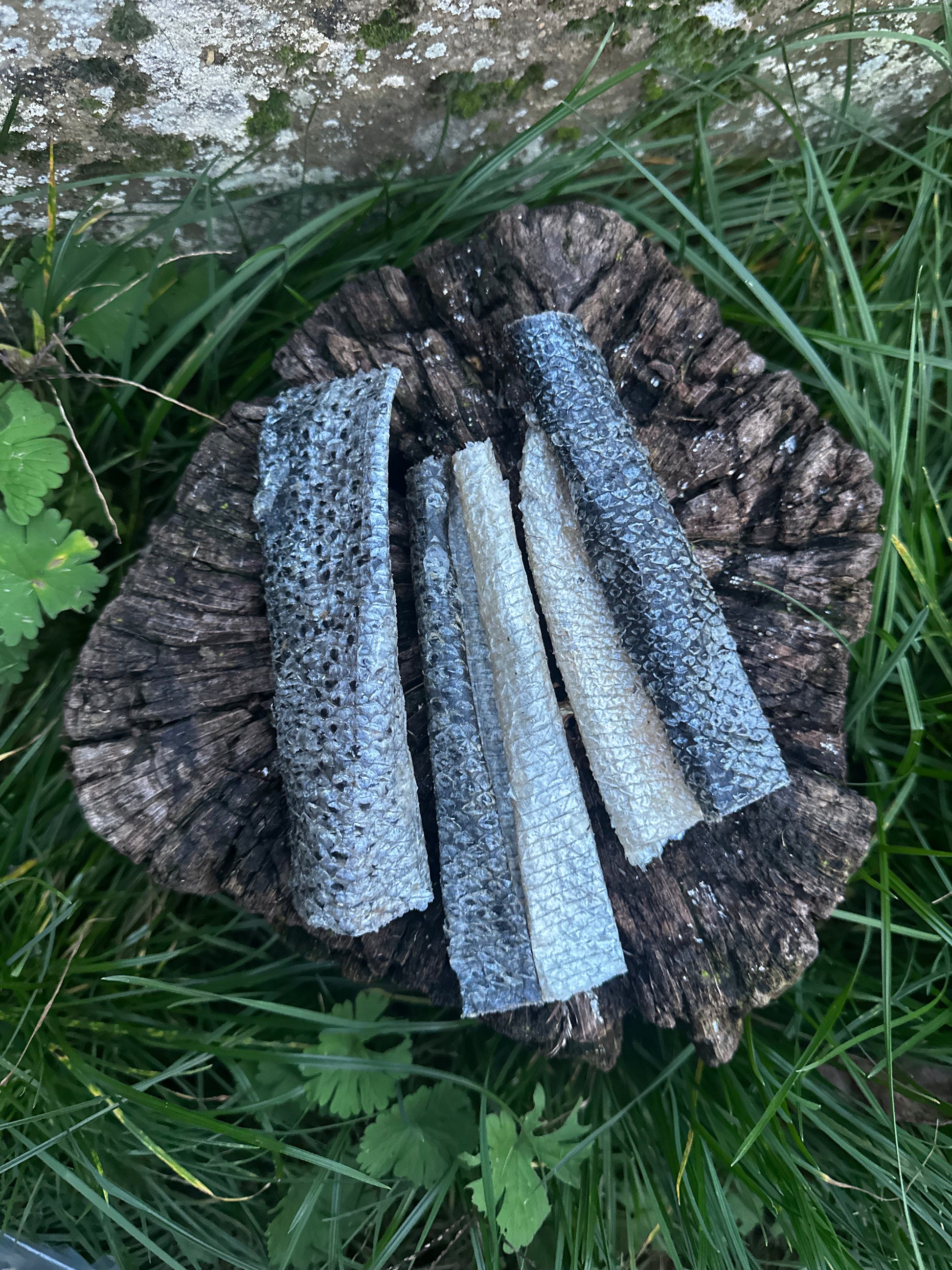 Petite lanière de peau de saumon