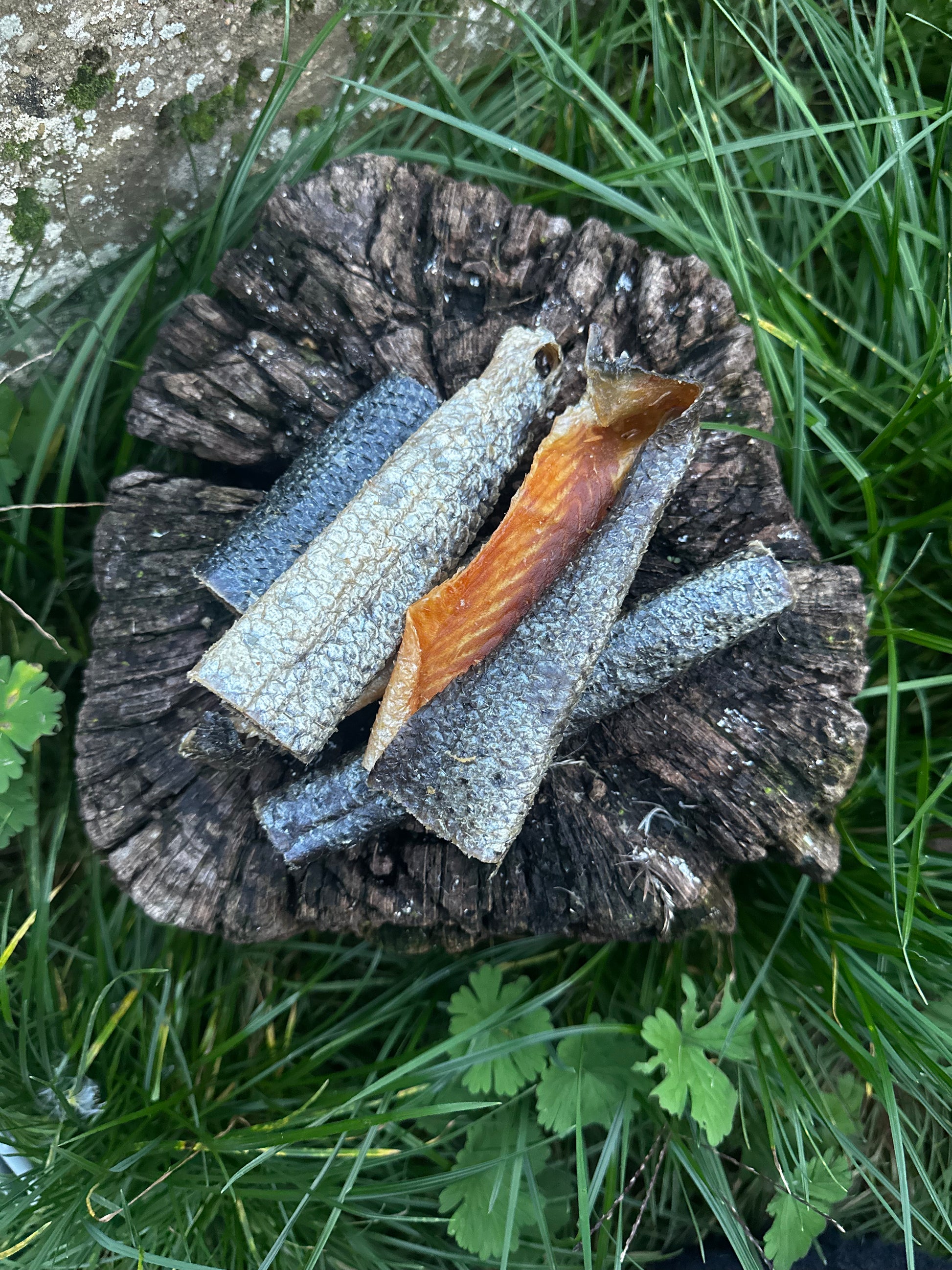 Petite lanière de peau de saumon avec sa chair