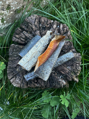 Petite lanière de peau de saumon avec sa chair
