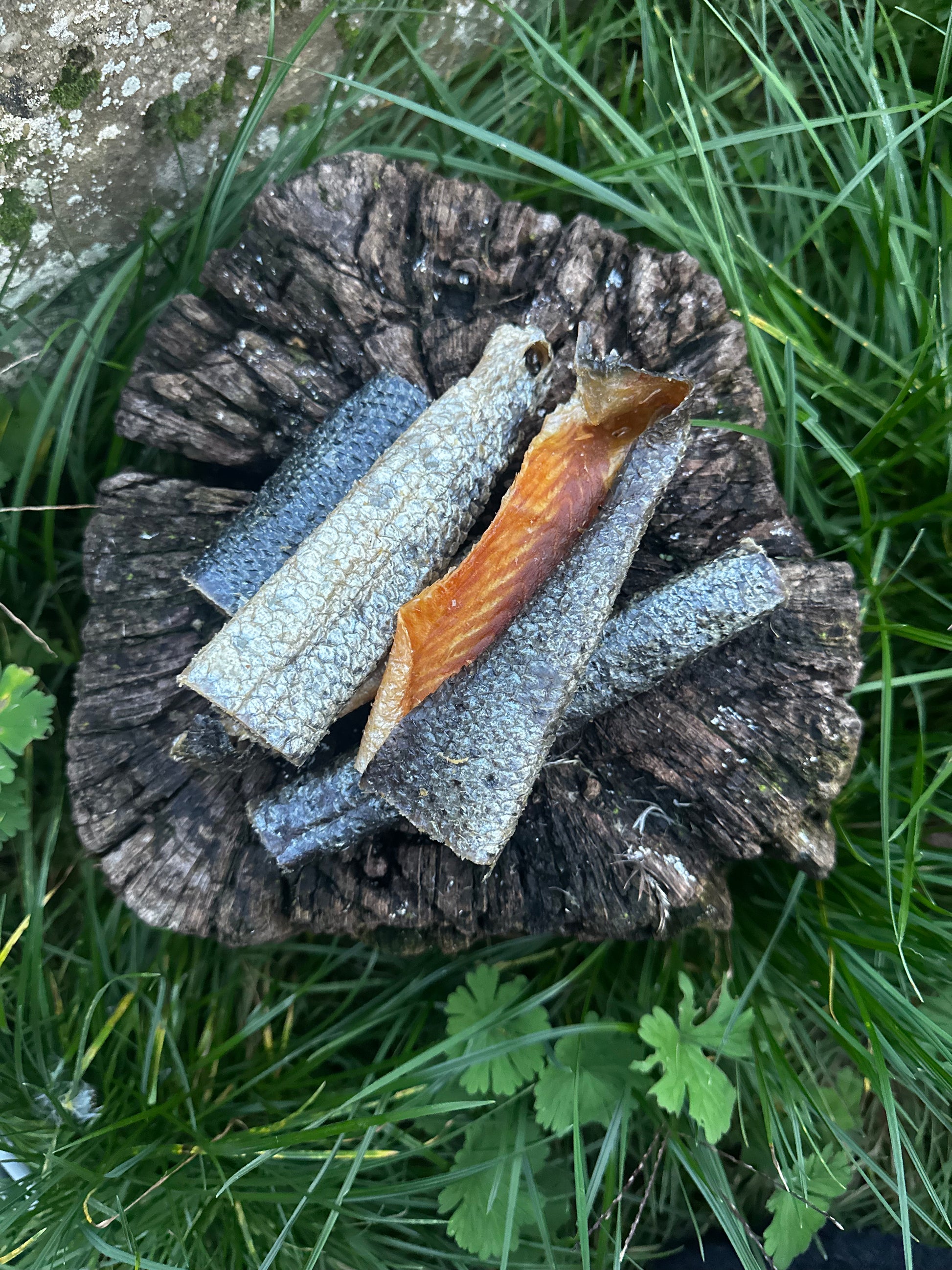 Petite lanière de peau de saumon avec sa chair