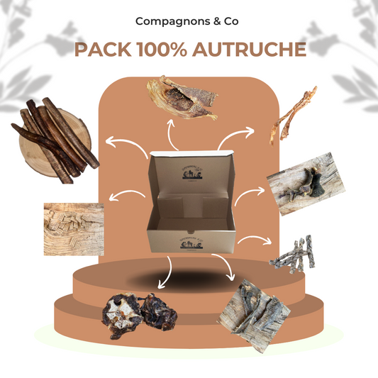 Pack 100% autruche