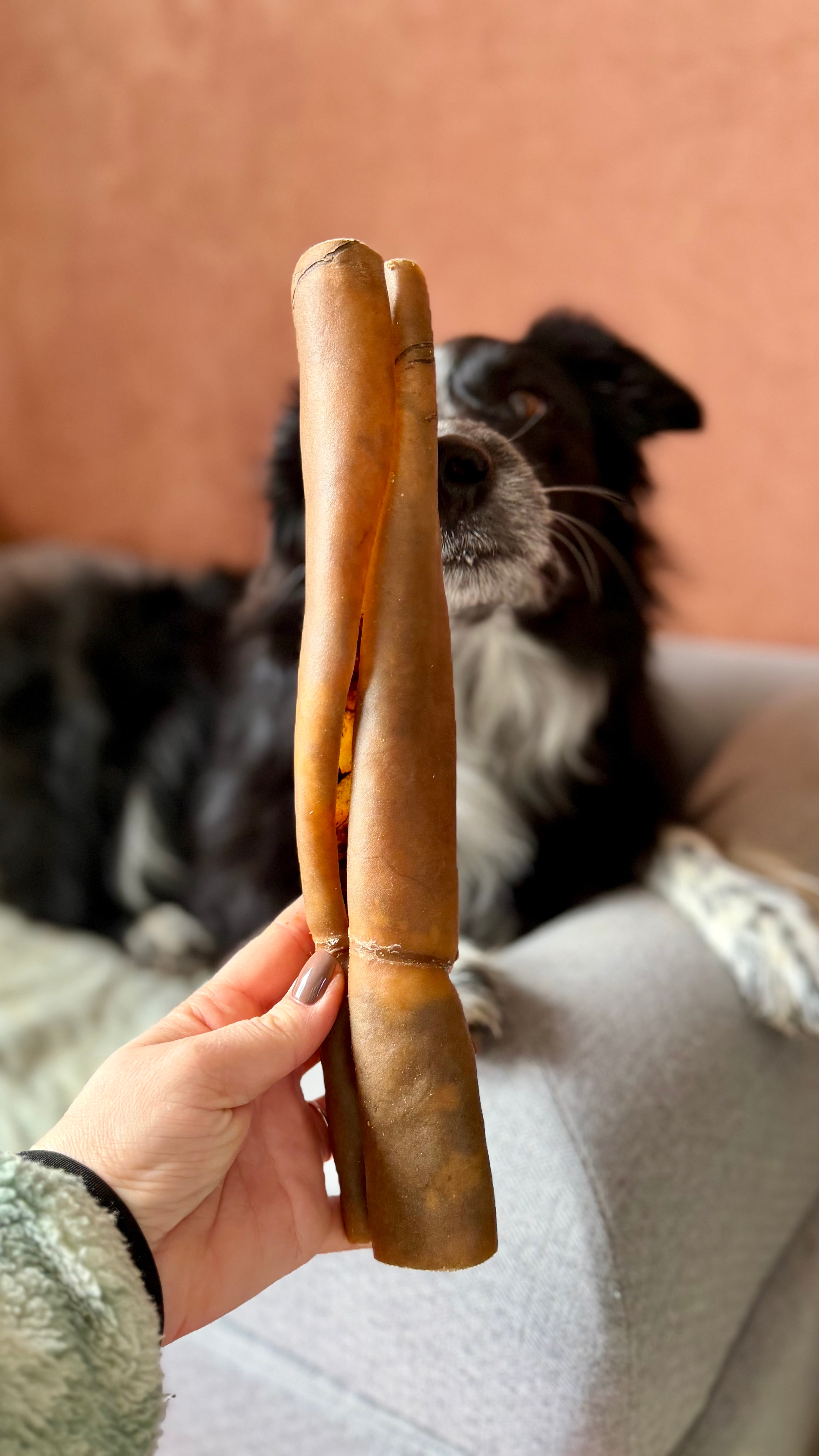 Peau de chameau roulée 30CM