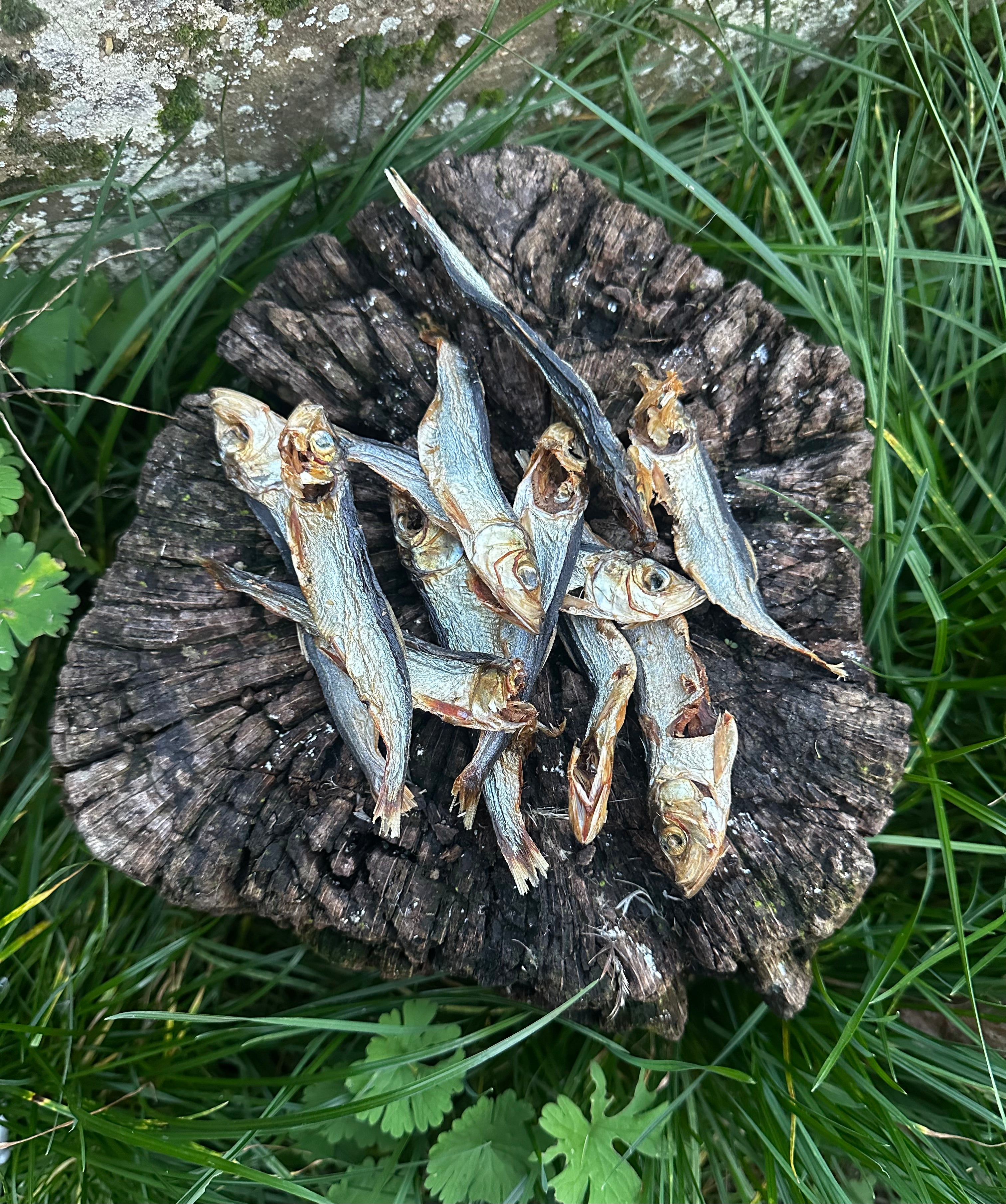 Sprats - 100g