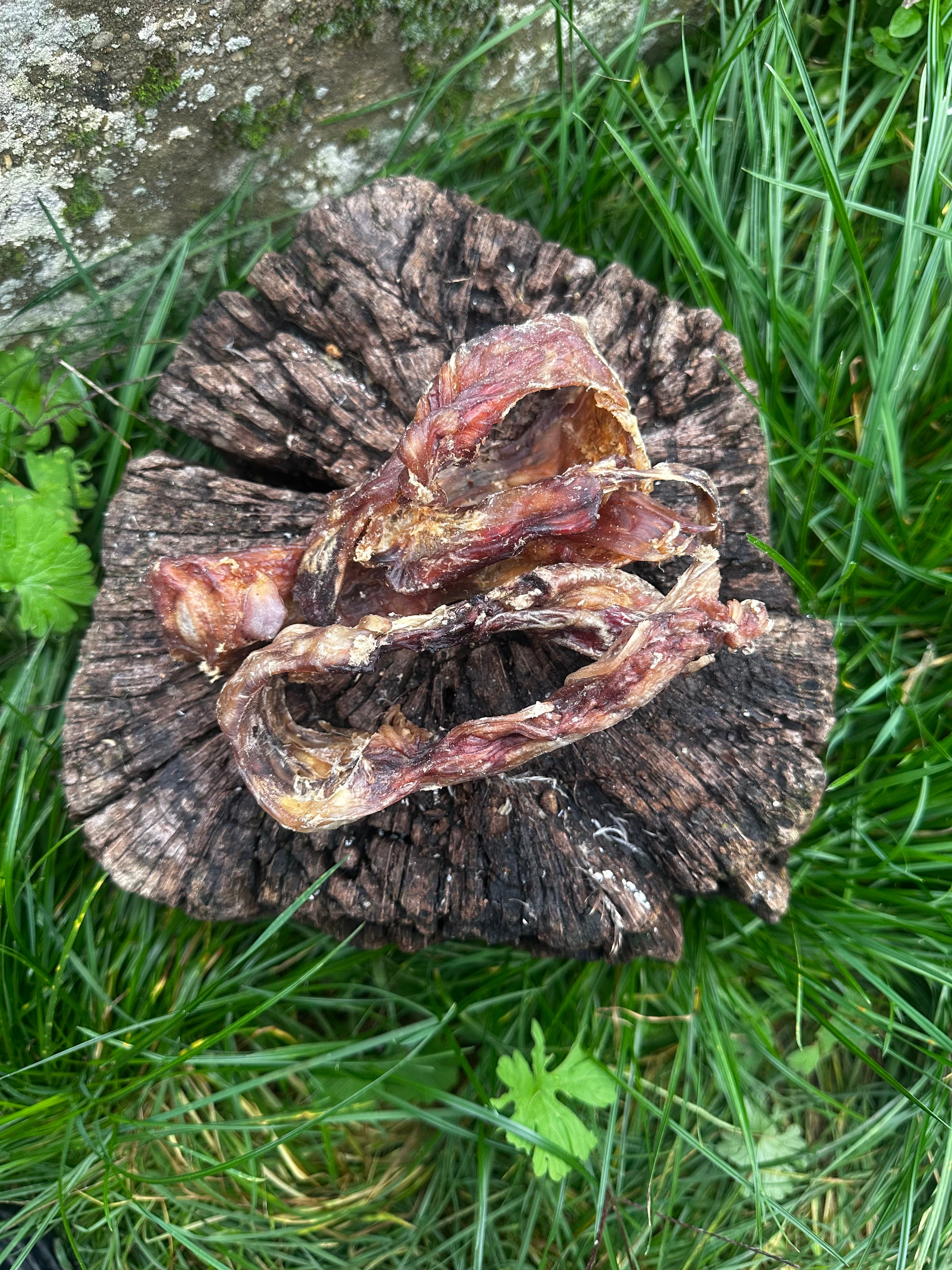 Tendon du cou de cerf