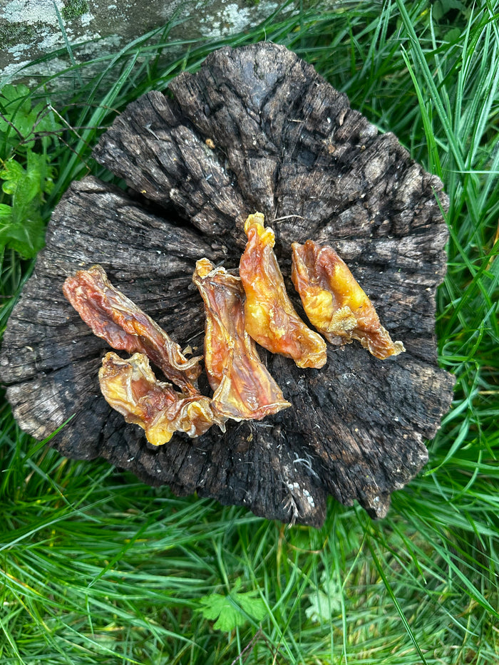 Tendon de pied d'autruche