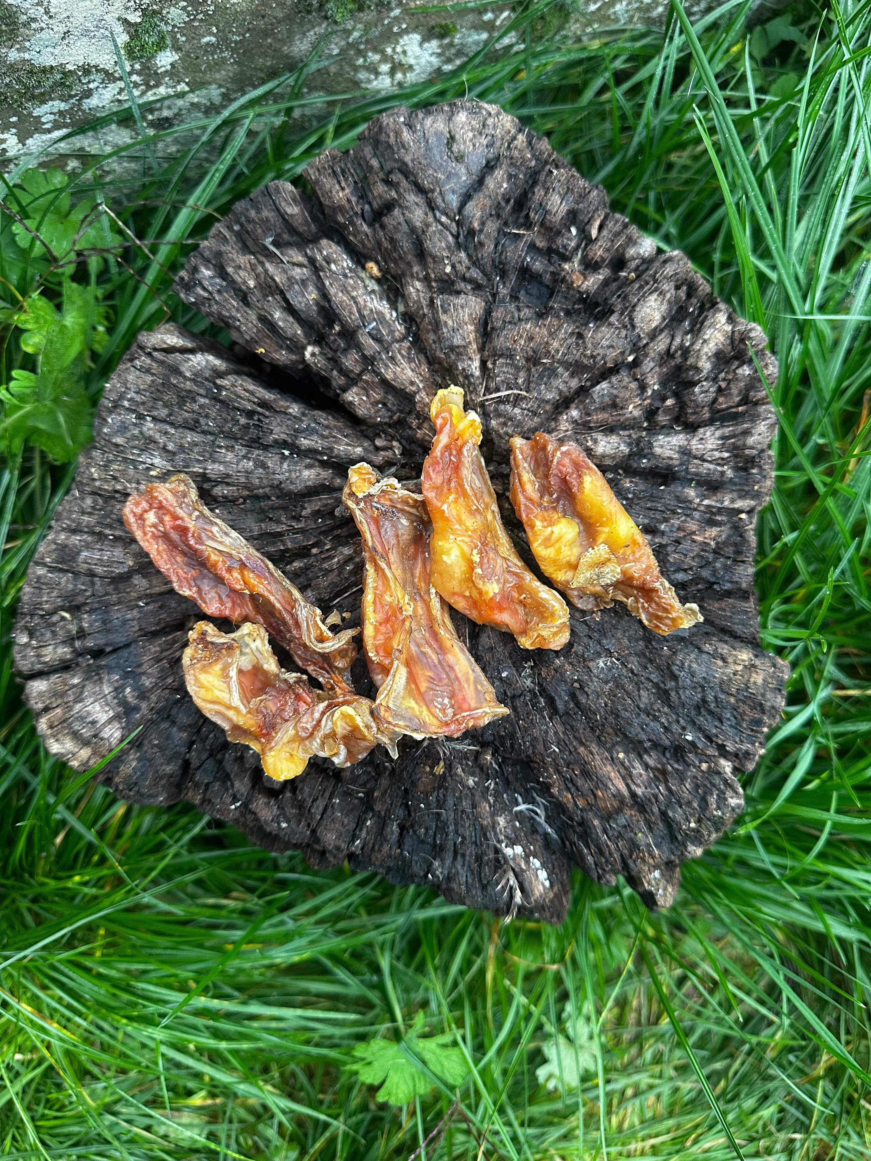 Tendon de pied d'autruche